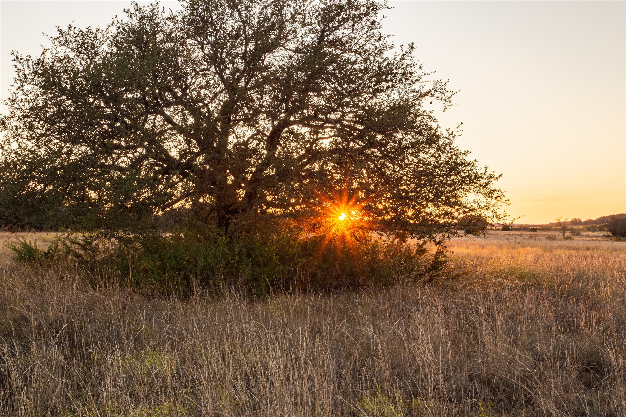 5770 County Road 309