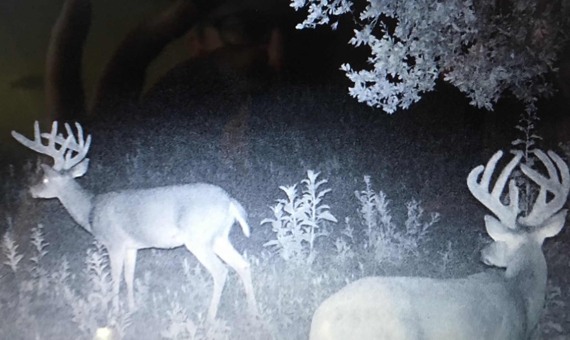 1319 County Road 4100