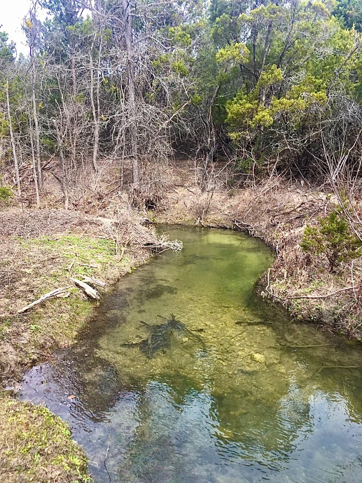 1319 County Road 4100