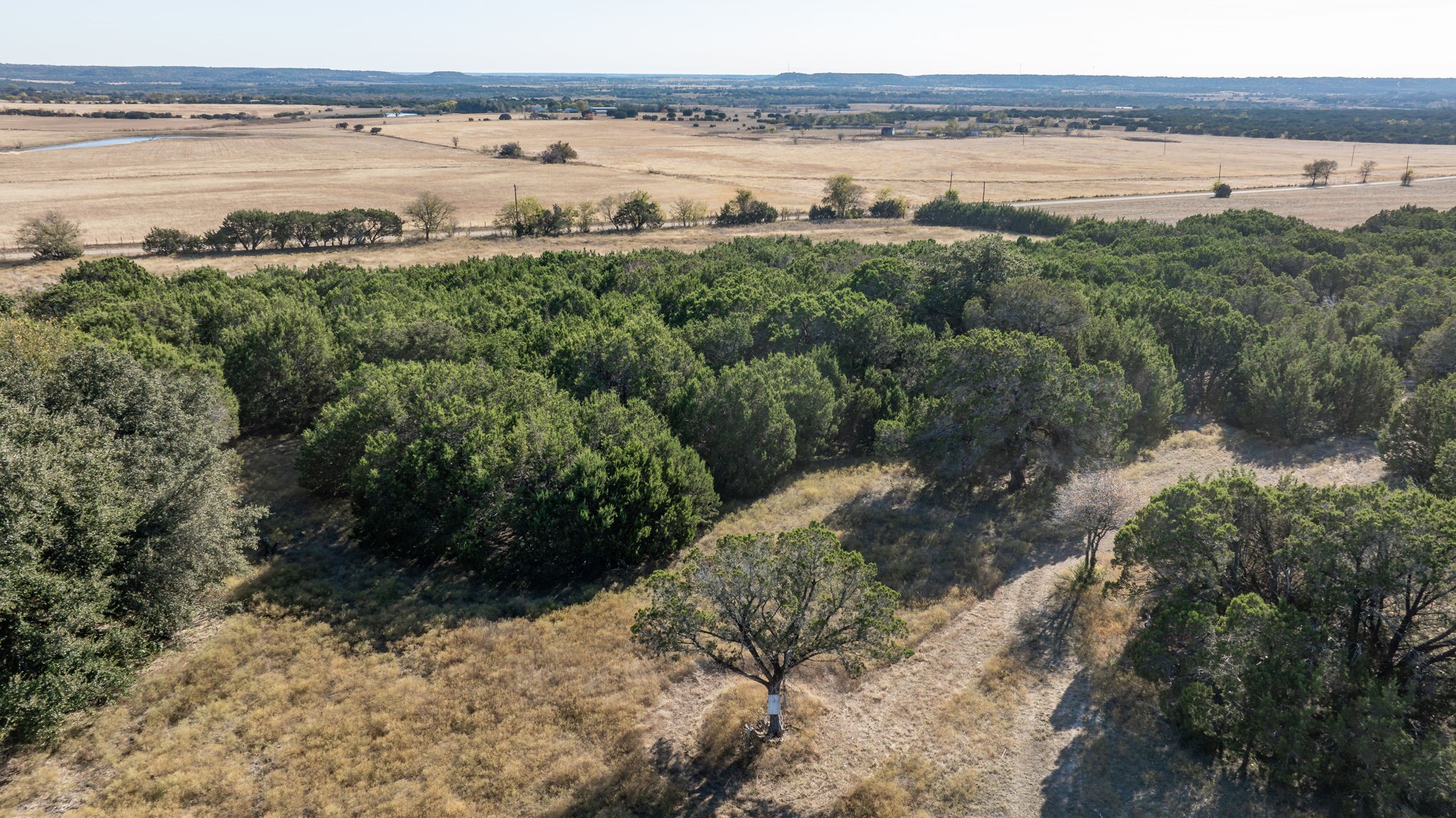 1319 County Road 4100