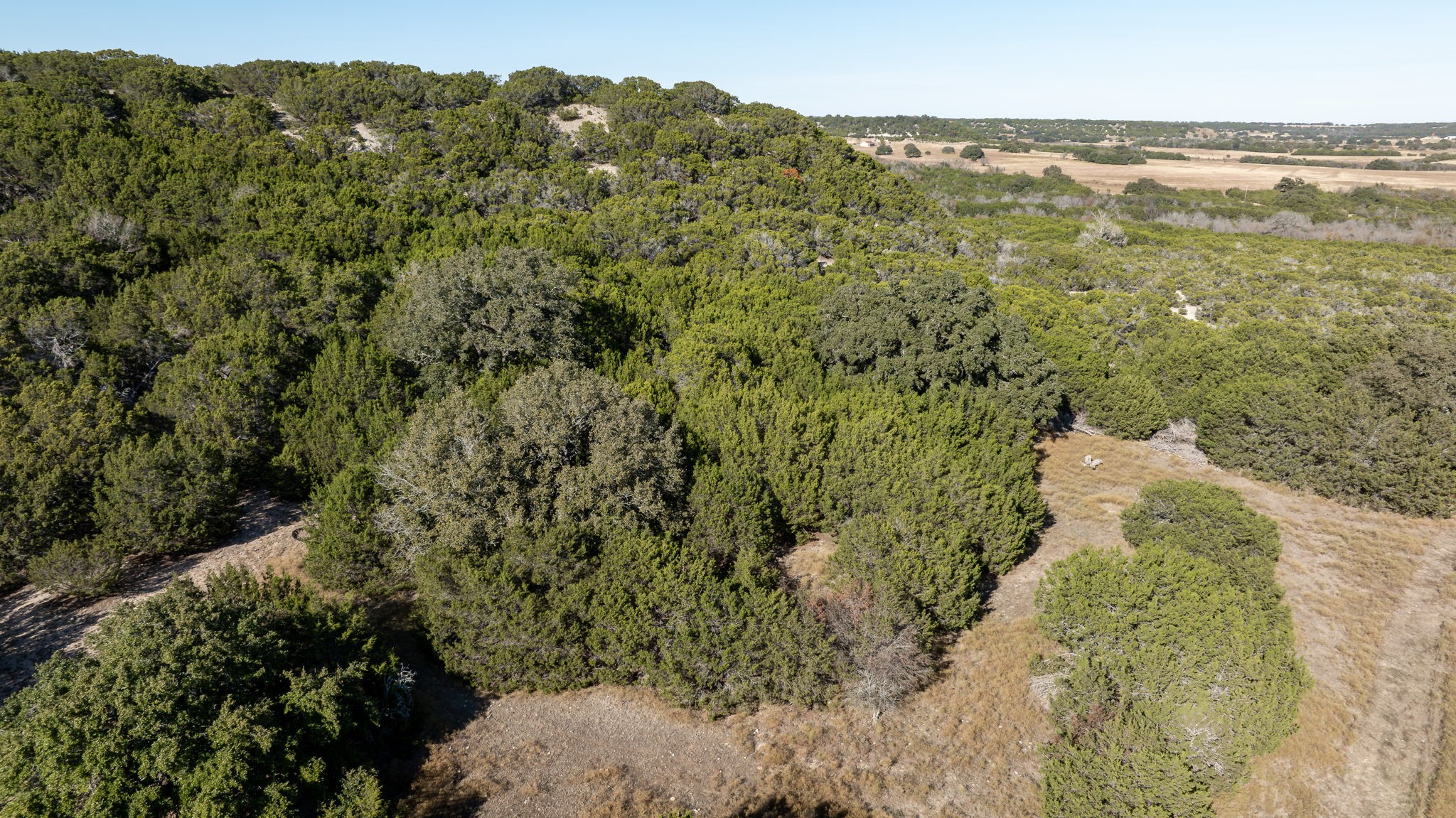 1319 County Road 4100