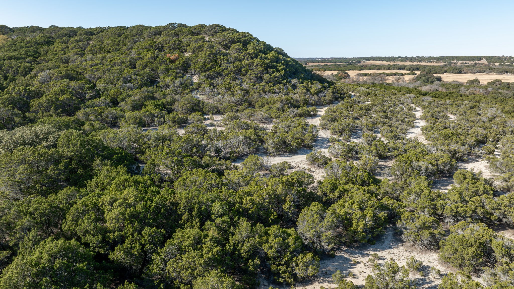 1319 County Road 4100