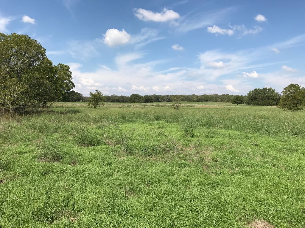 705 County Road 2480