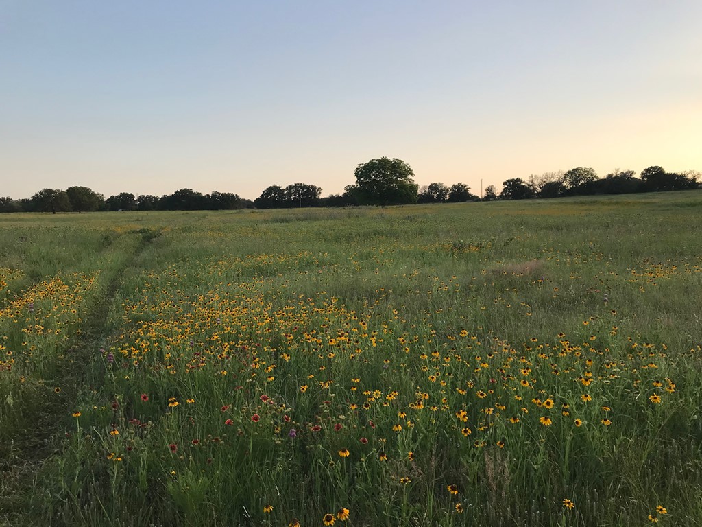 705 County Road 2480