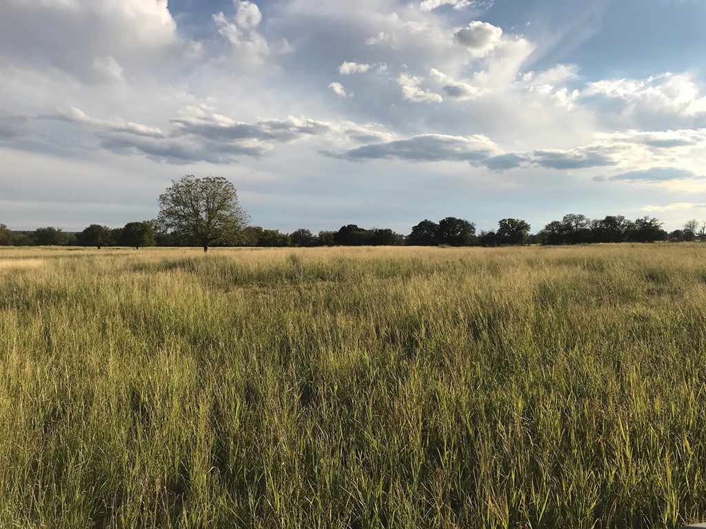 705 County Road 2480