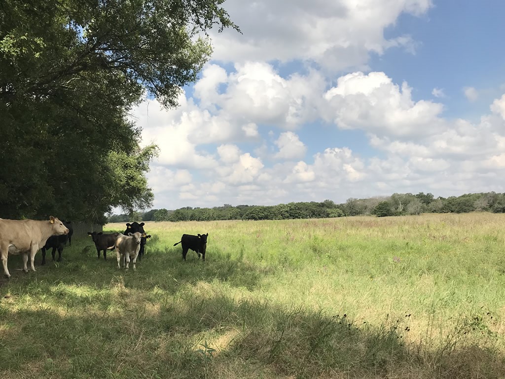 705 County Road 2480