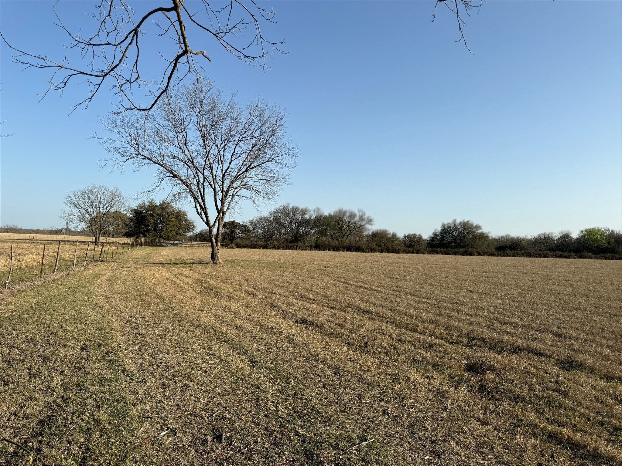 1540 County Road 2960