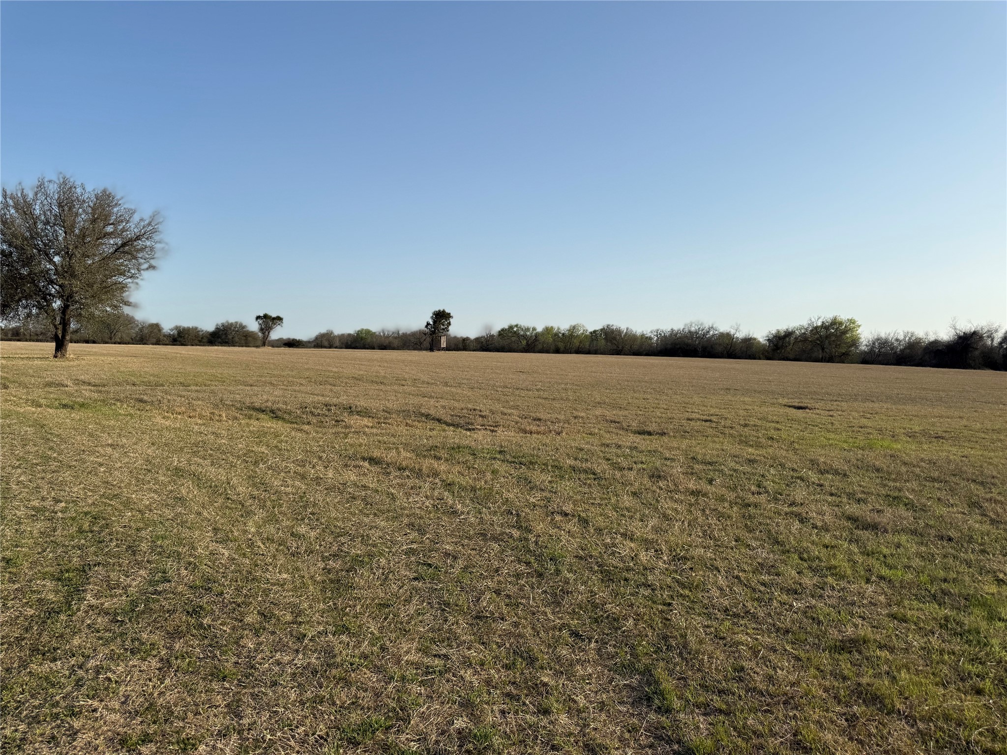 1540 County Road 2960