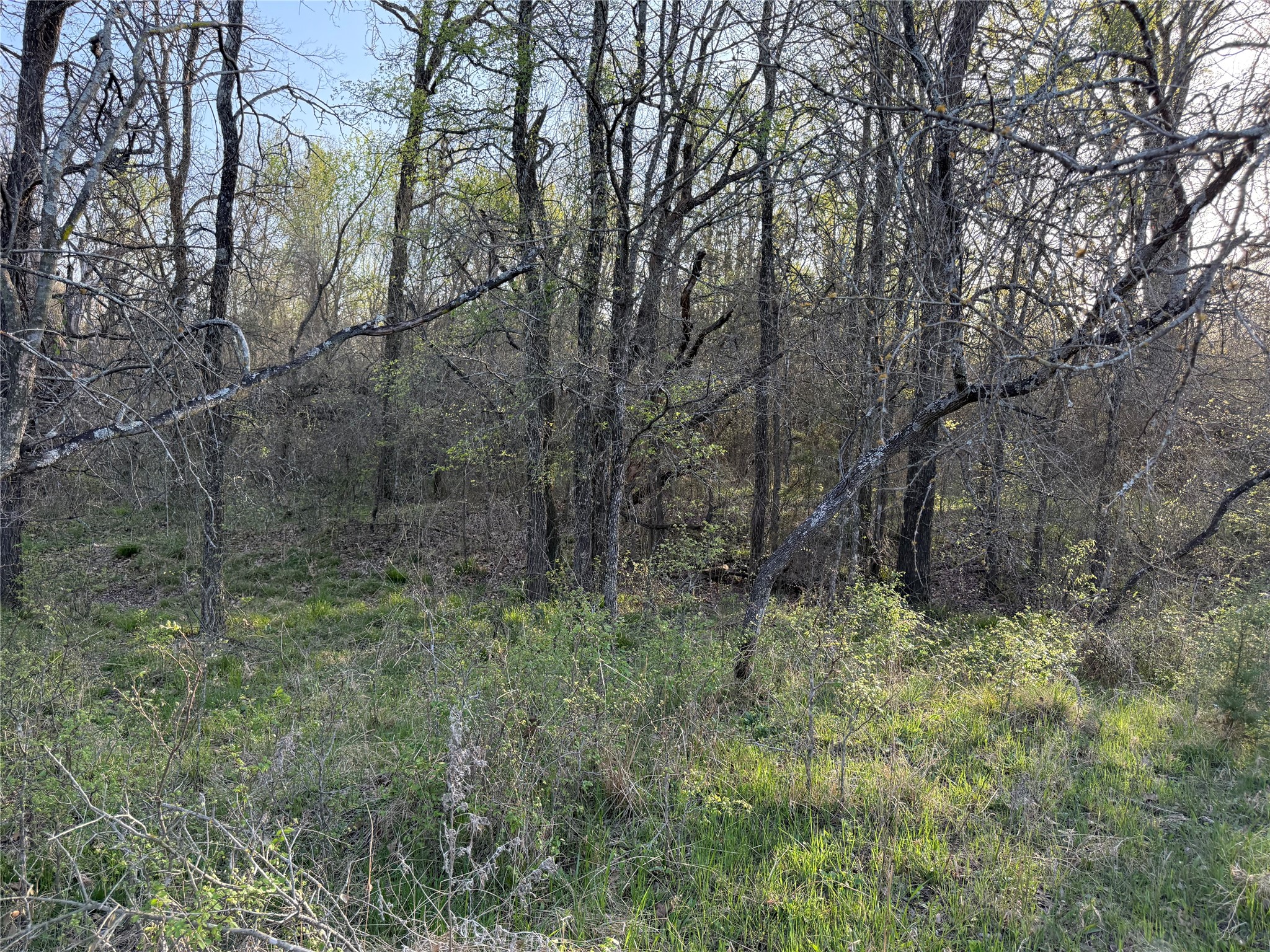 1540 County Road 2960