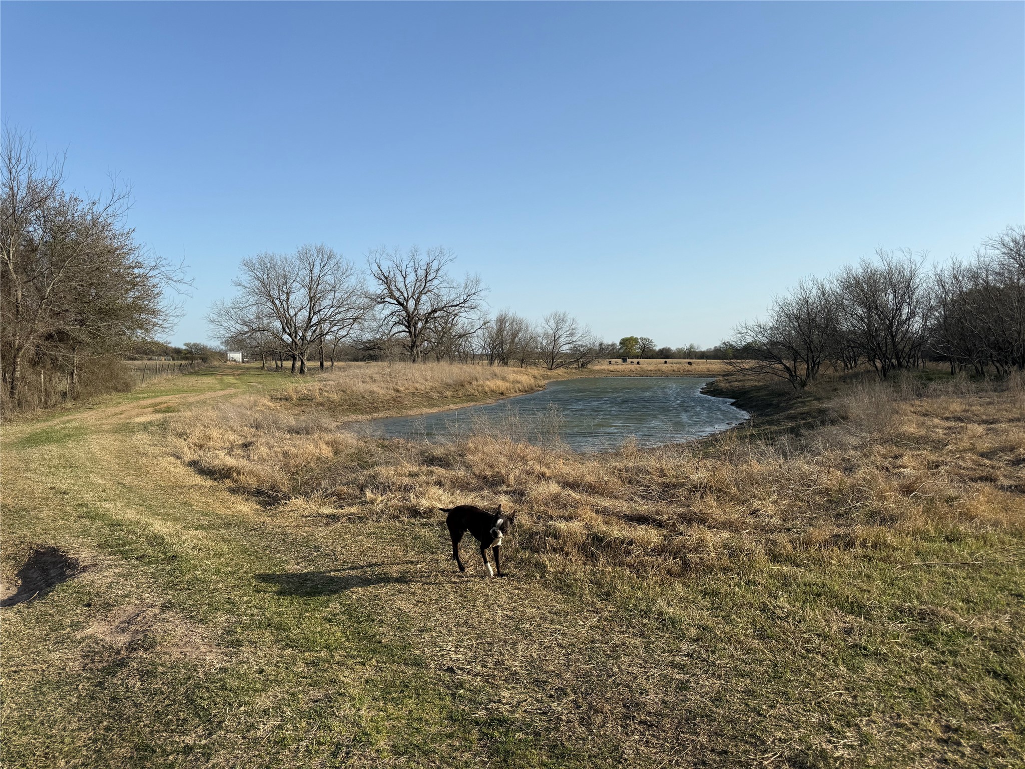 1540 County Road 2960