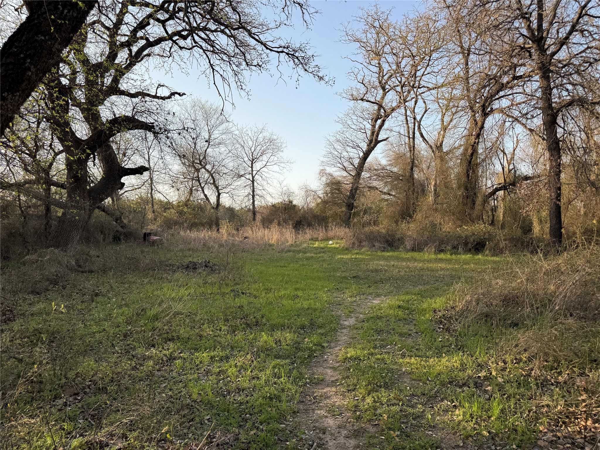 1540 County Road 2960