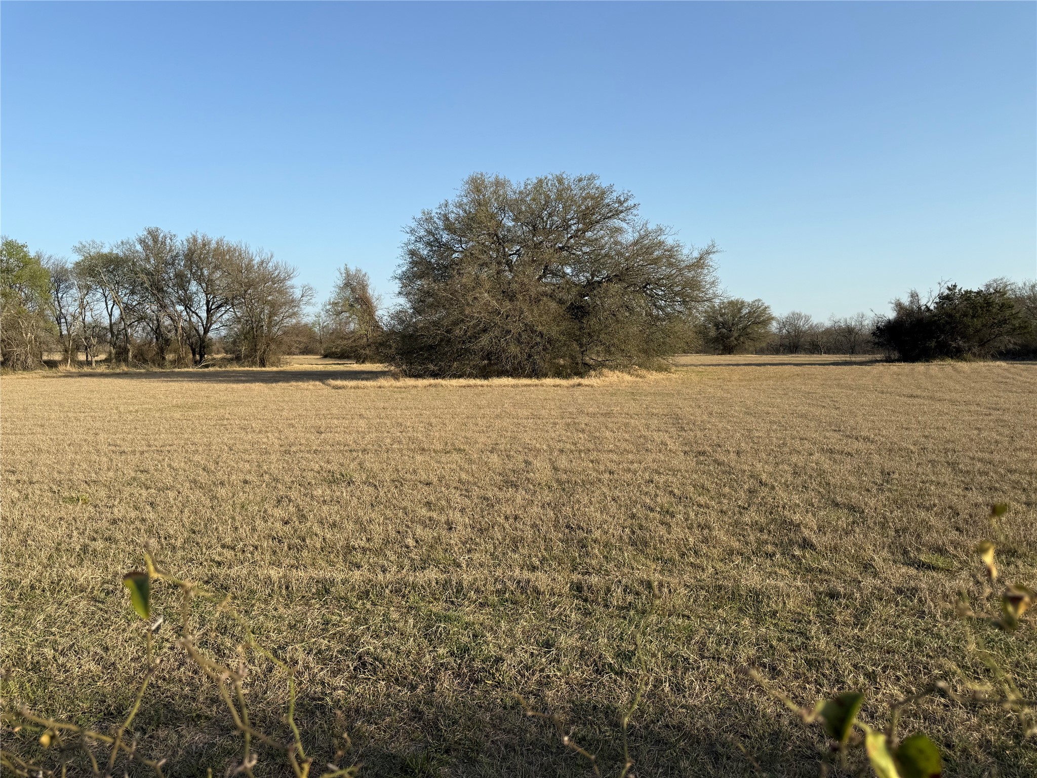 1540 County Road 2960