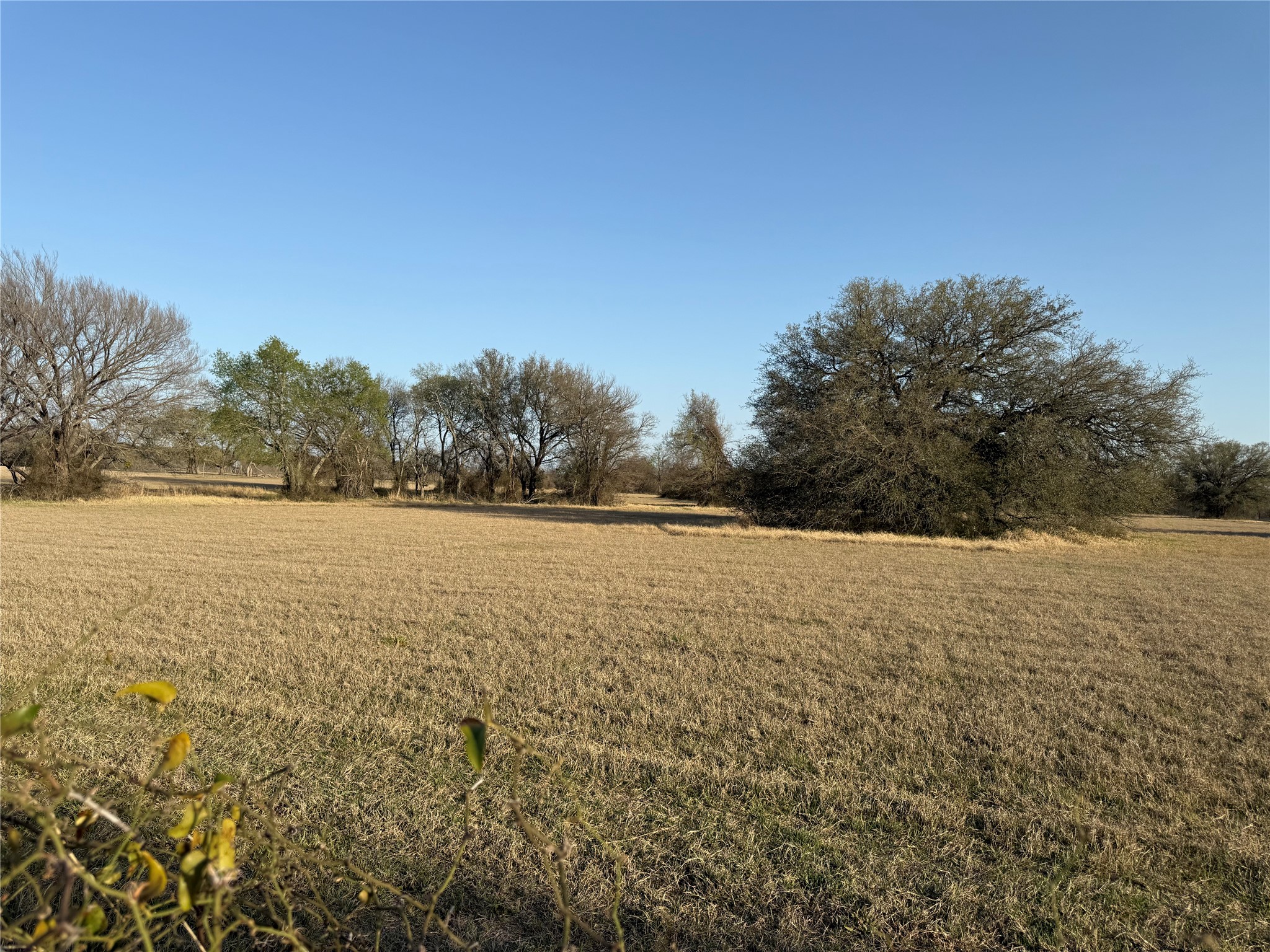 1540 County Road 2960