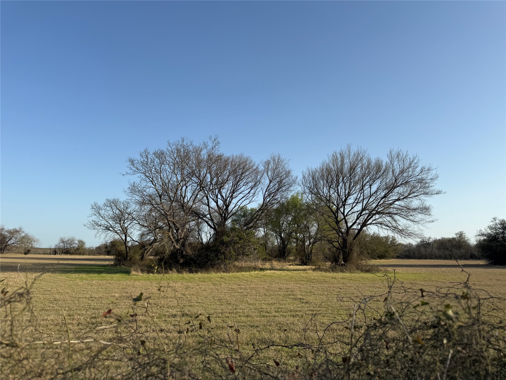 1540 County Road 2960