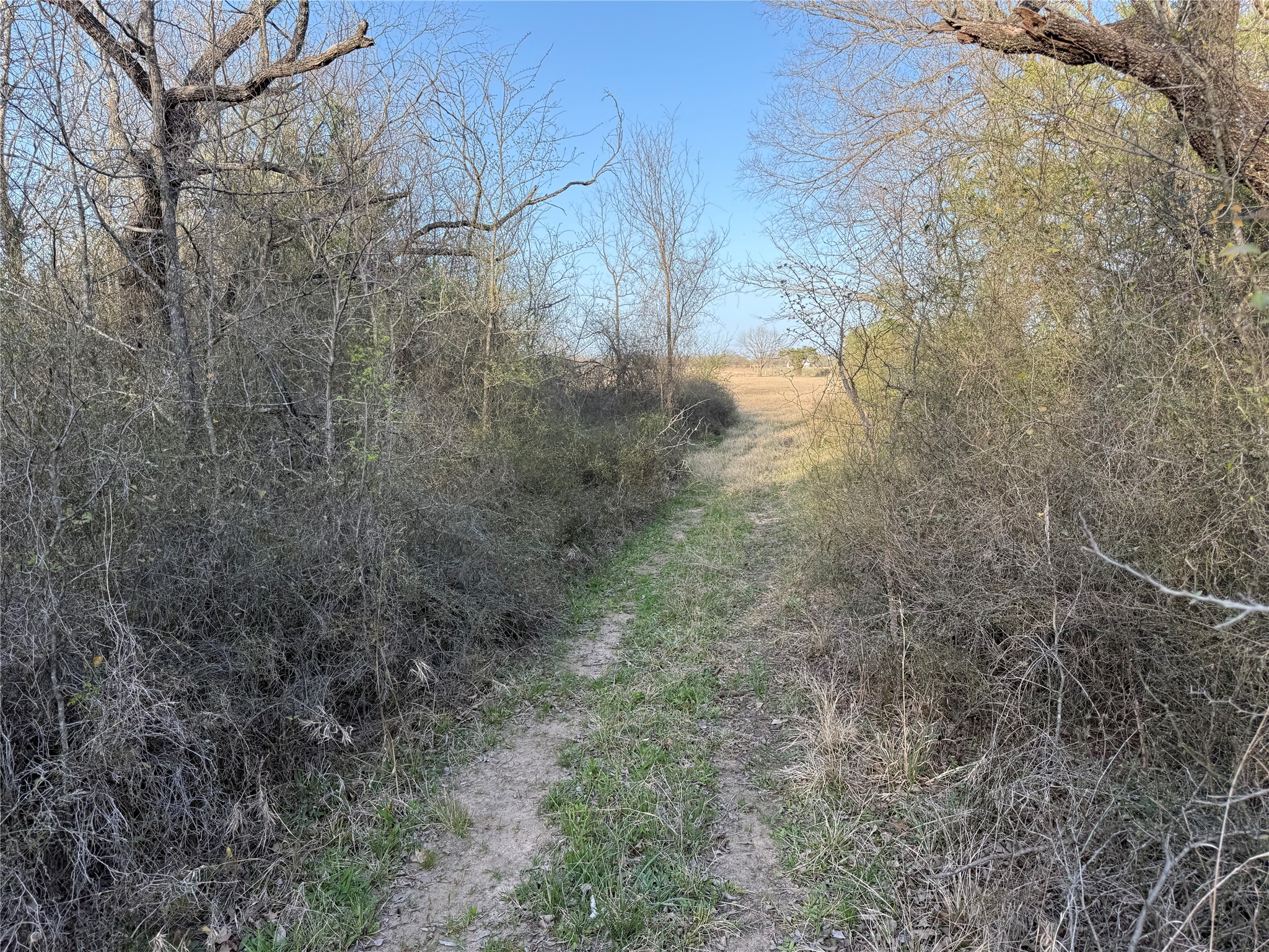 1540 County Road 2960