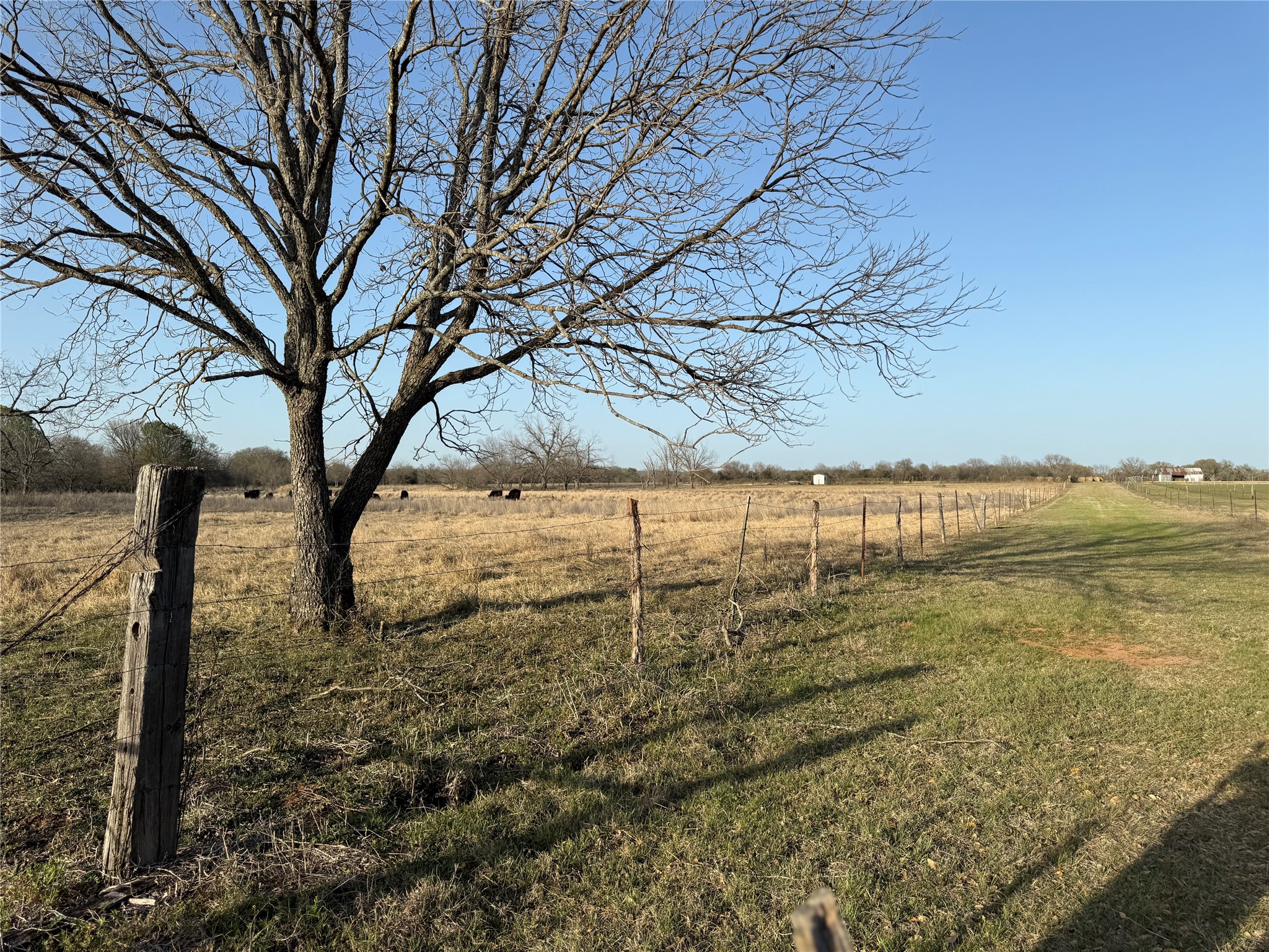 1540 County Road 2960