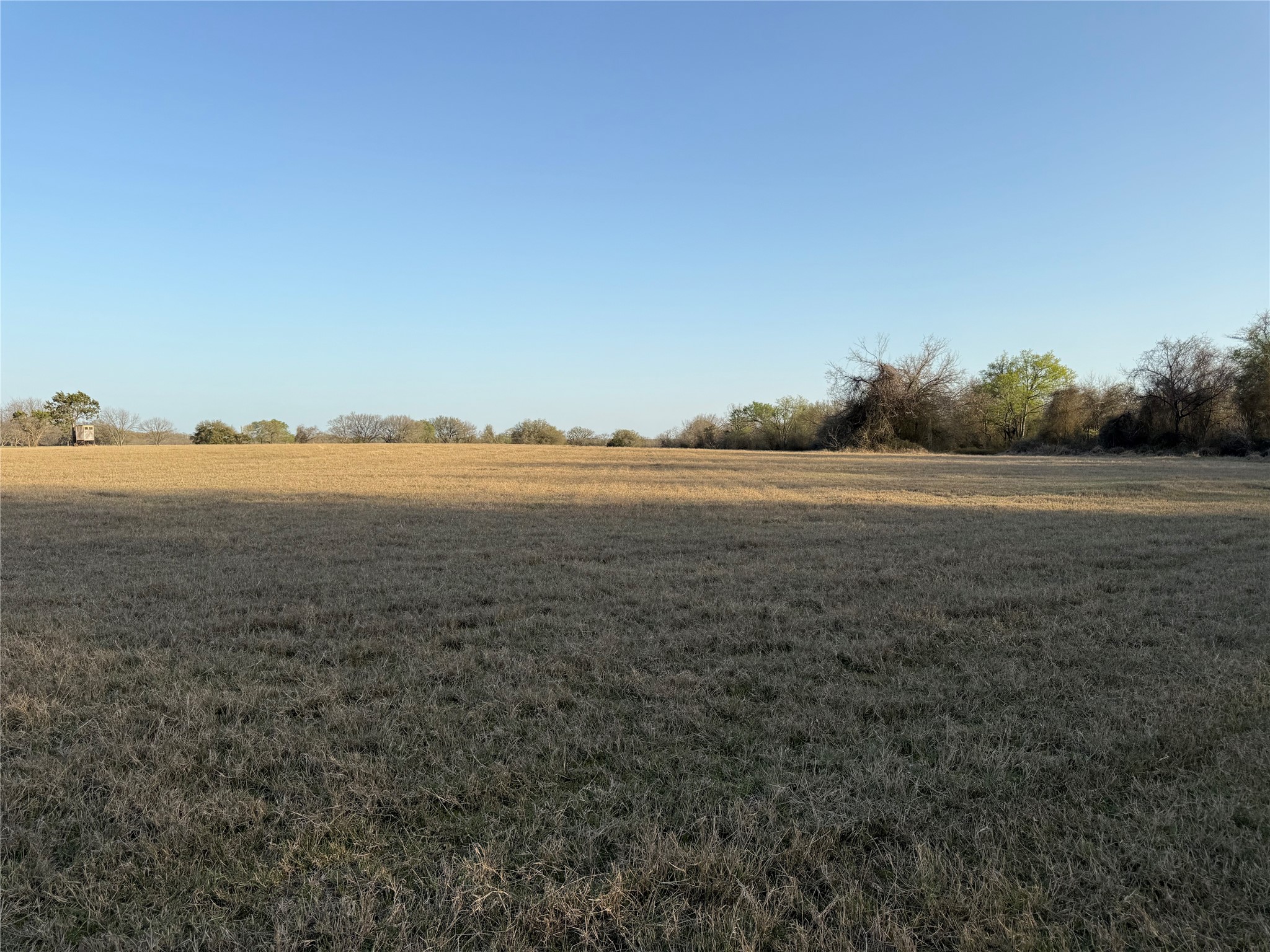 1540 County Road 2960