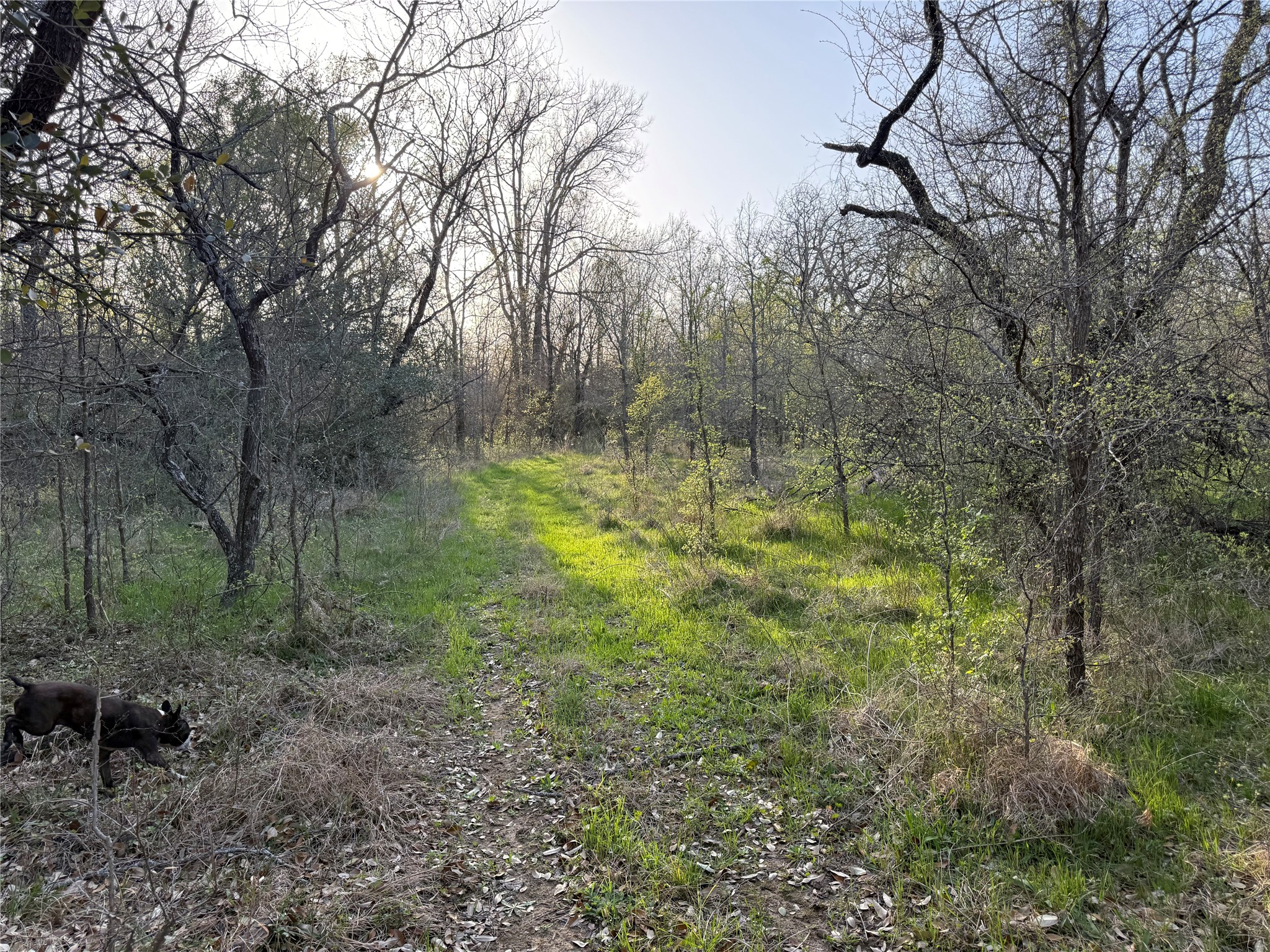 1540 County Road 2960