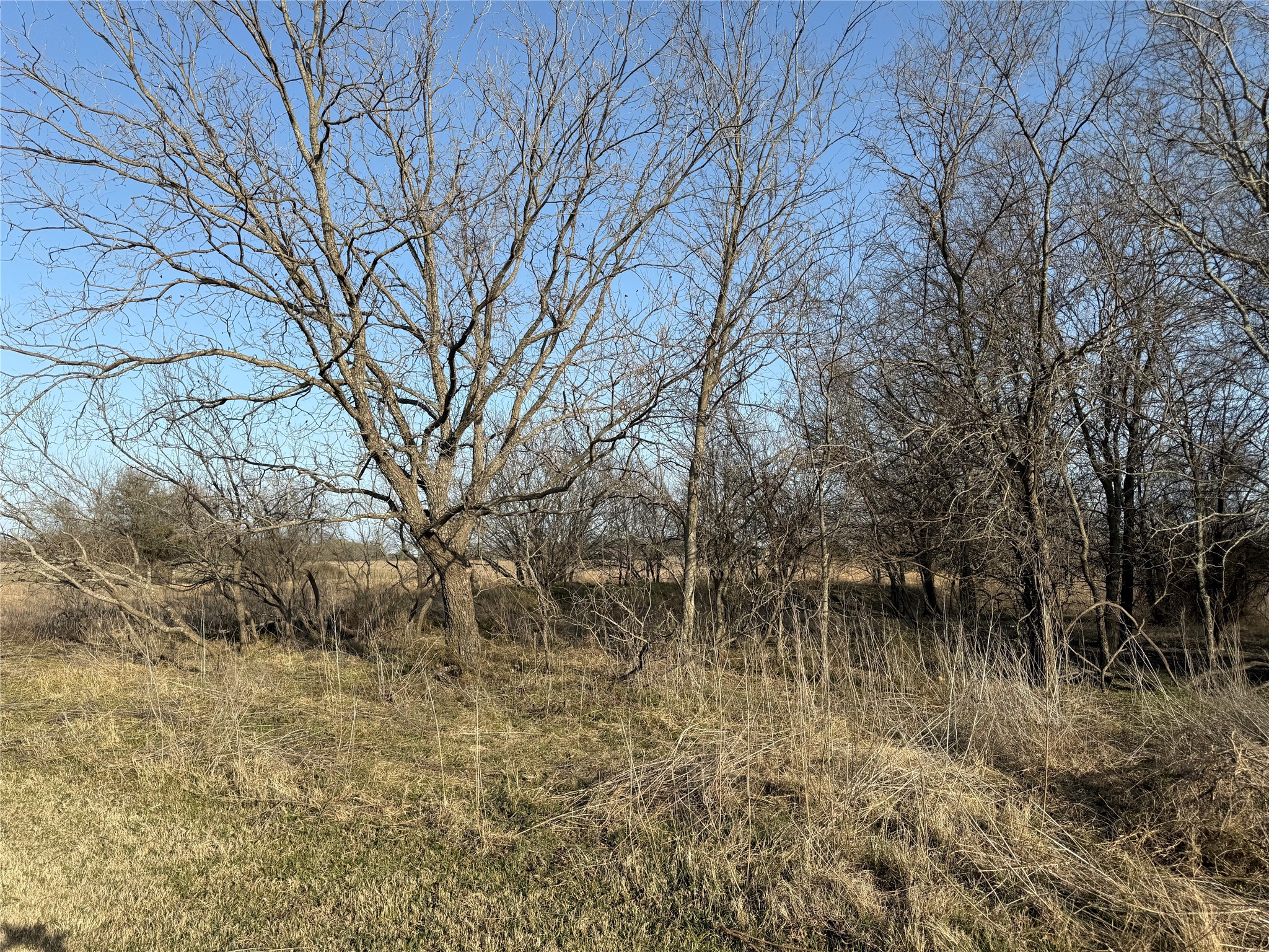 1540 County Road 2960