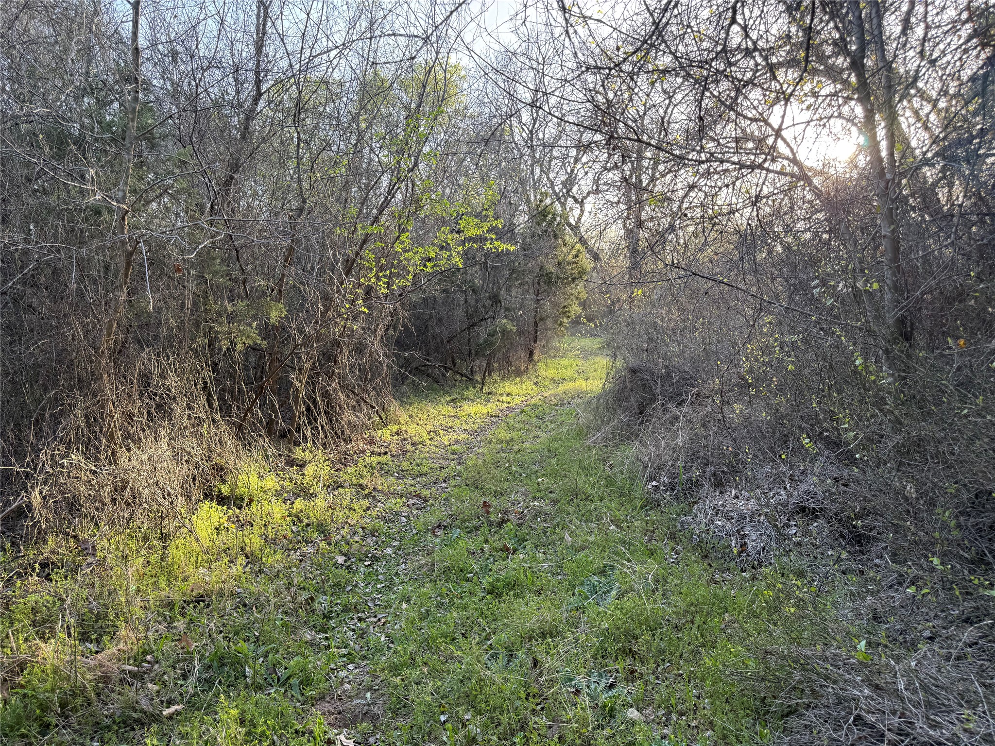 1540 County Road 2960