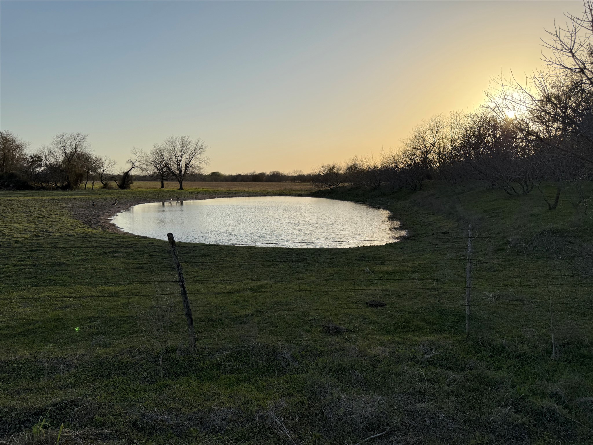 1540 County Road 2960