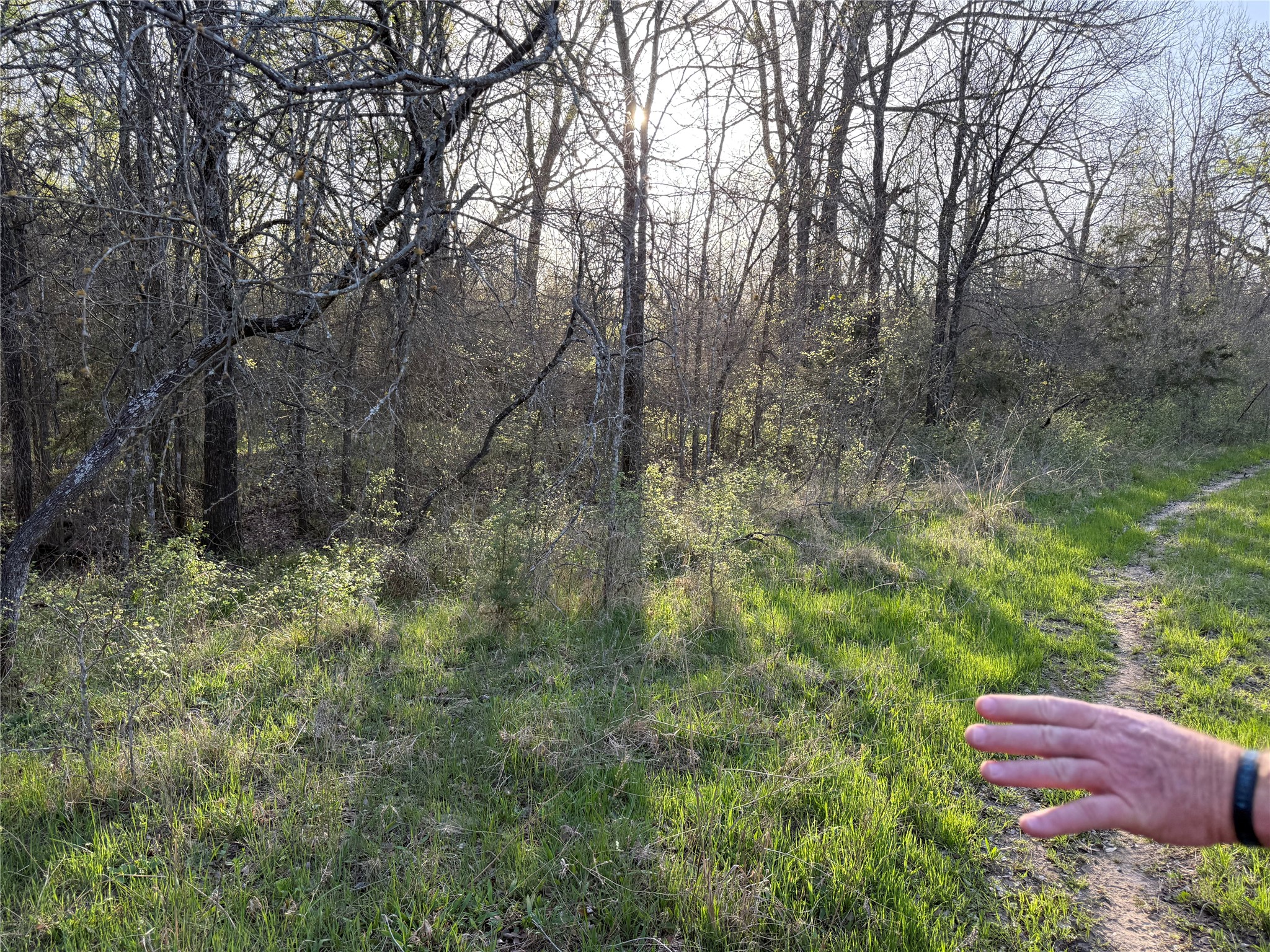 1540 County Road 2960