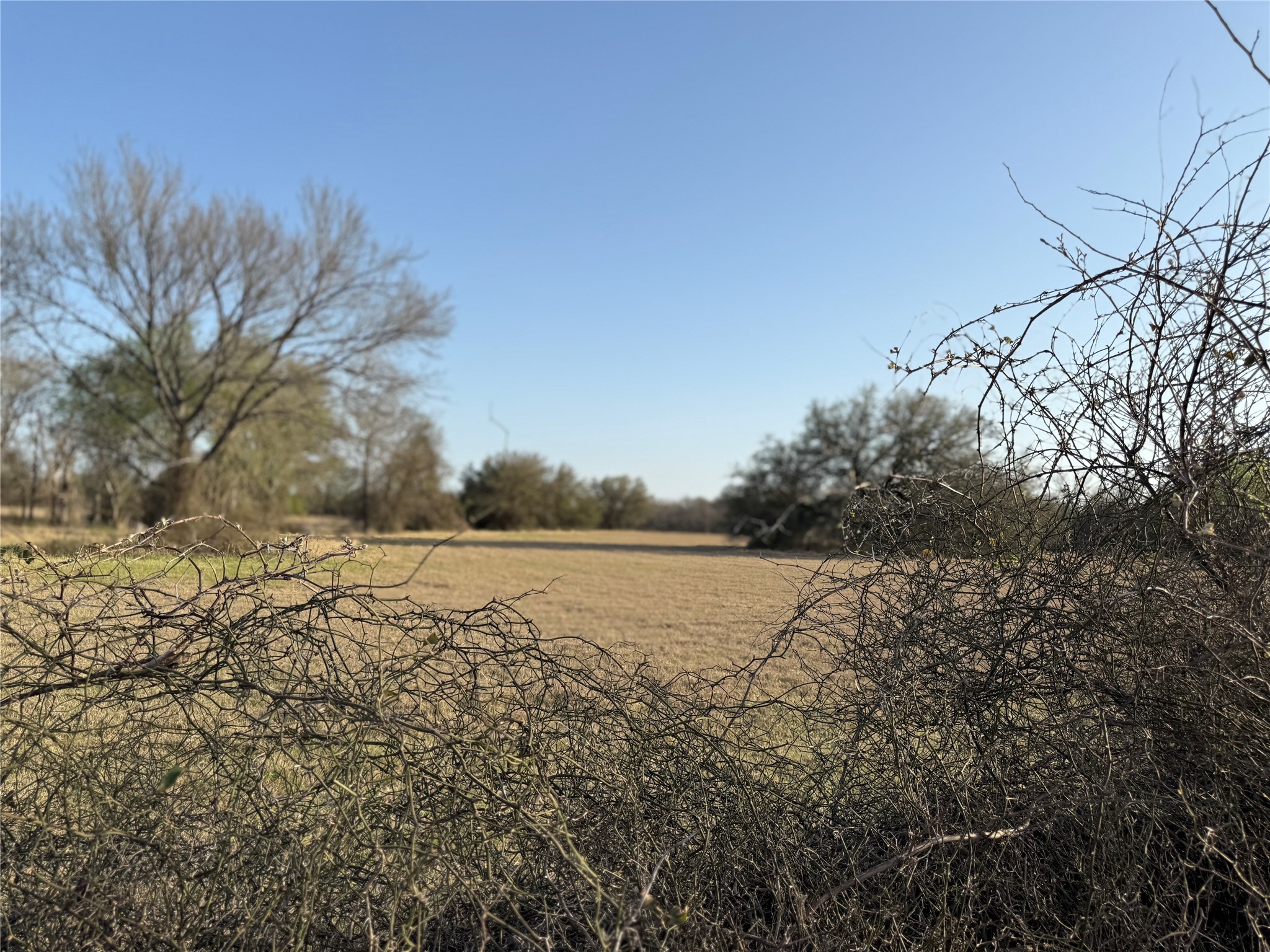 1540 County Road 2960