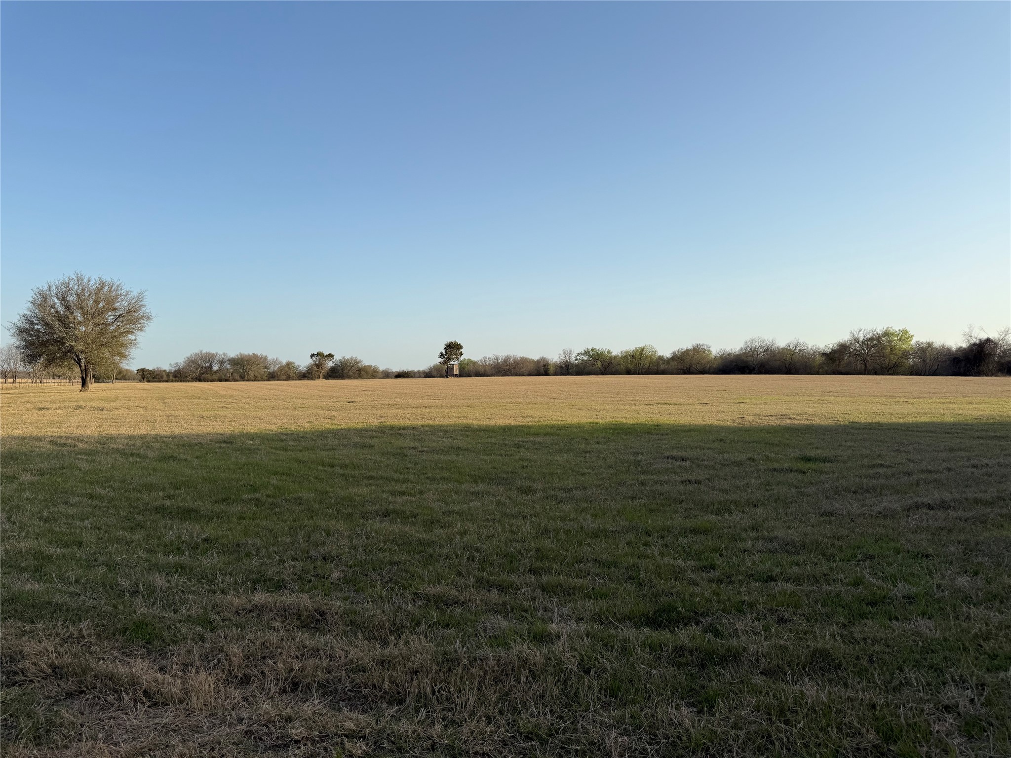 1540 County Road 2960