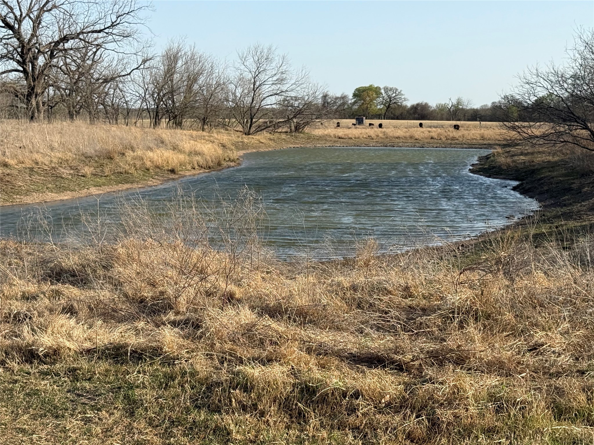 1540 County Road 2960