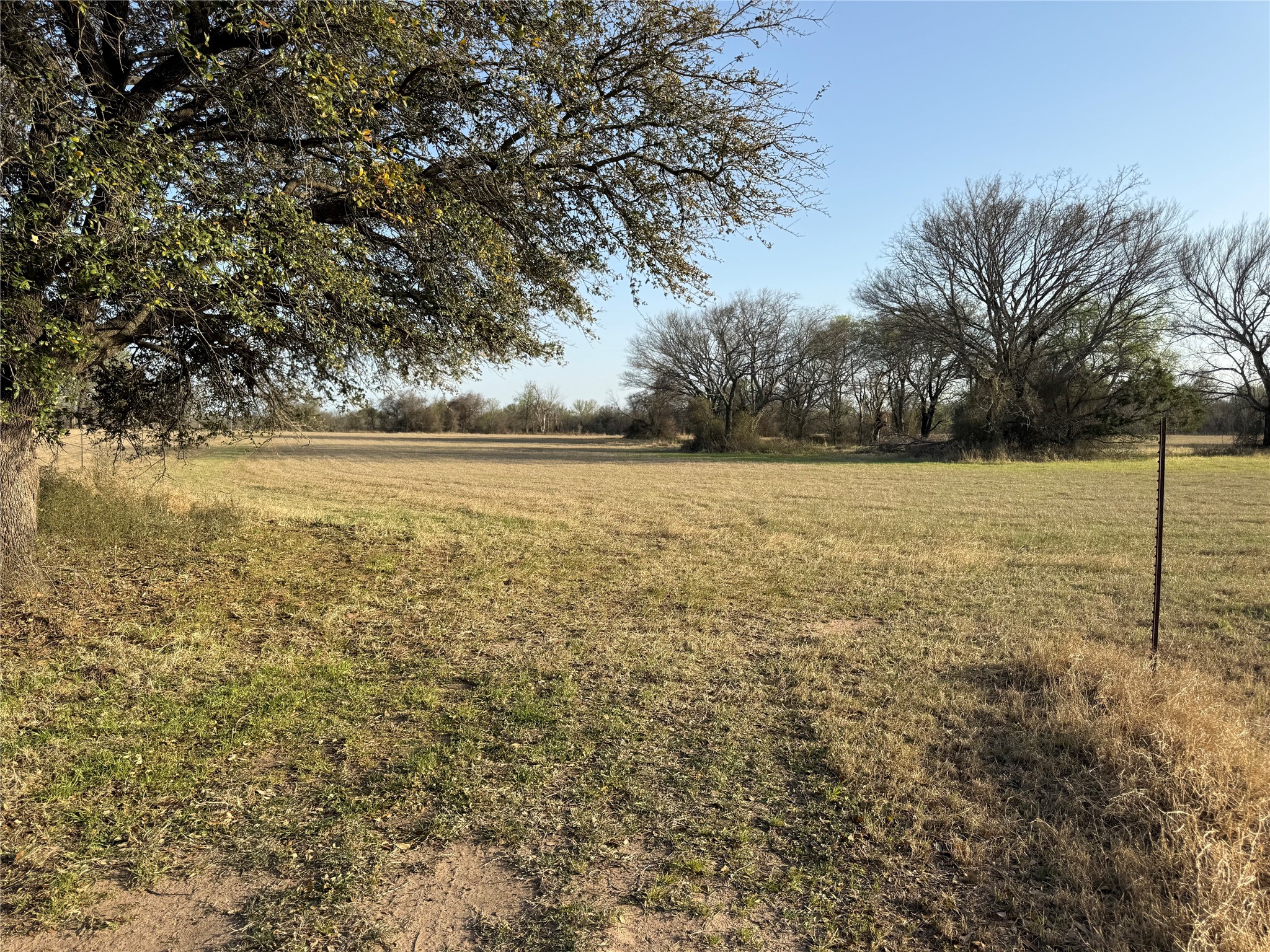 1540 County Road 2960