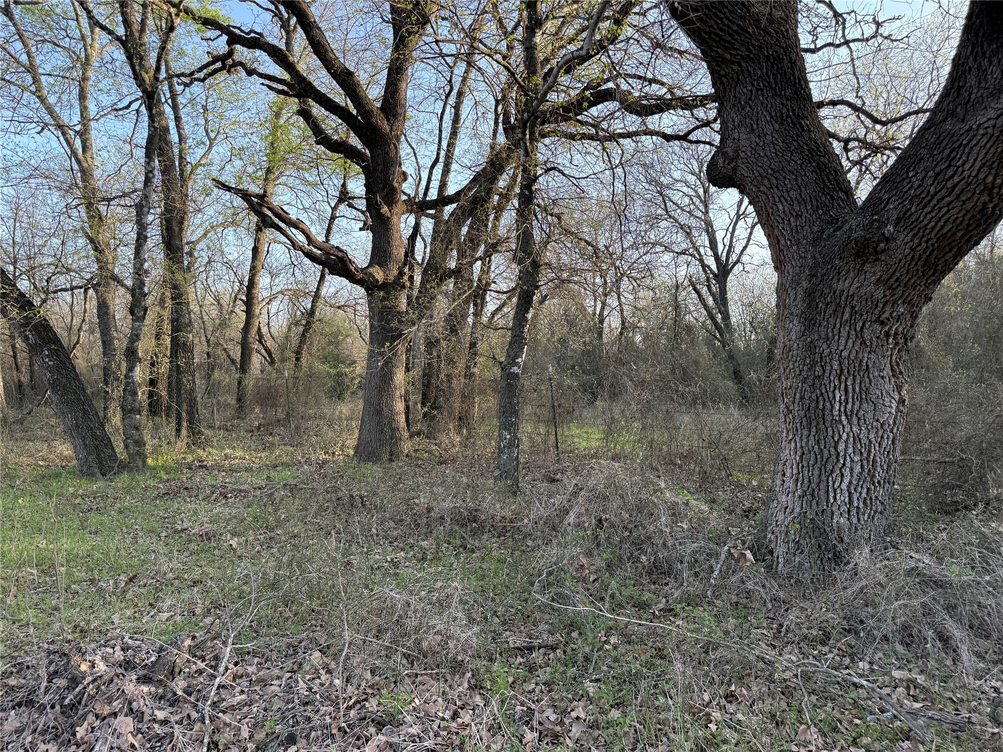 1540 County Road 2960