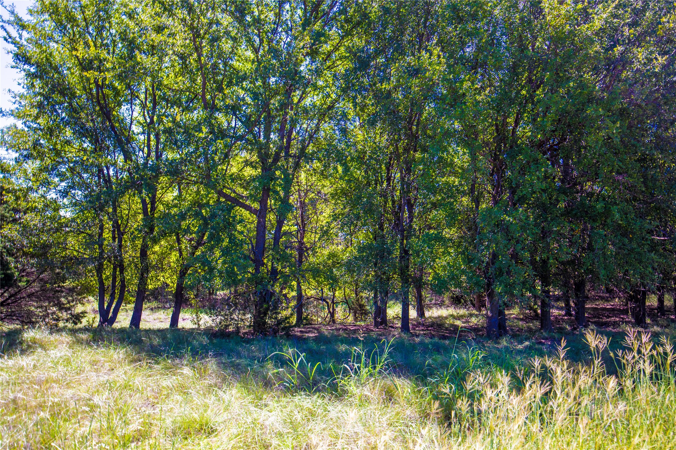 269 Private Road 2362