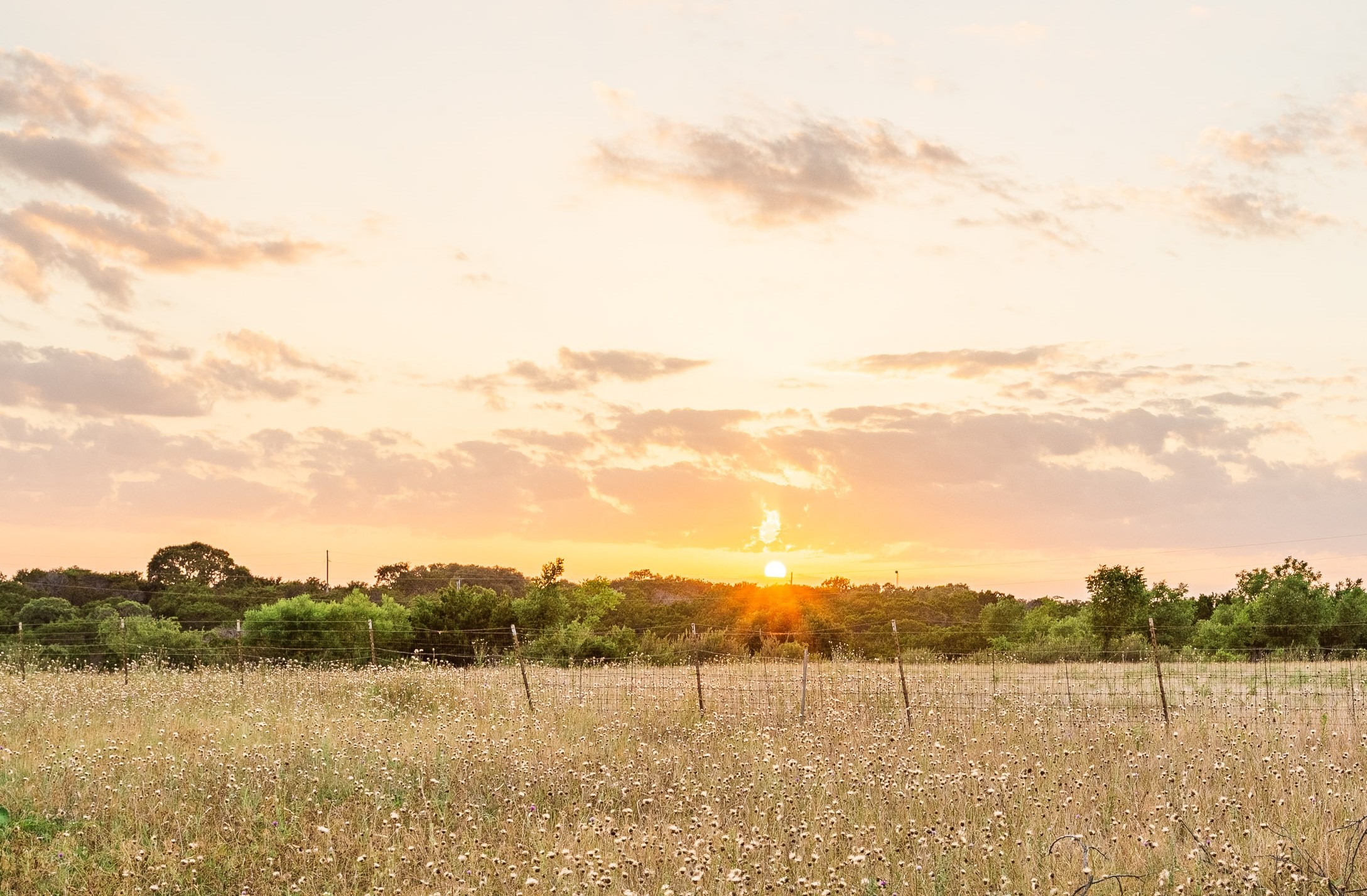 273 County Road 2546