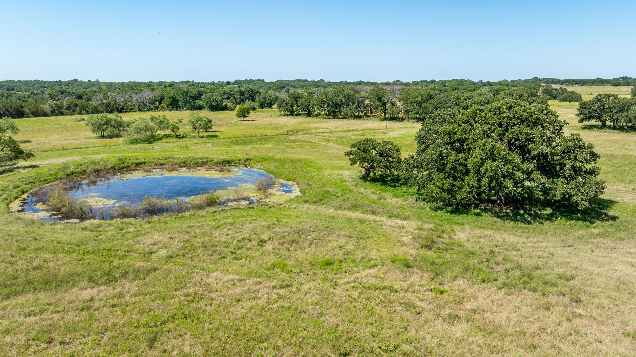 2440 County Road 243