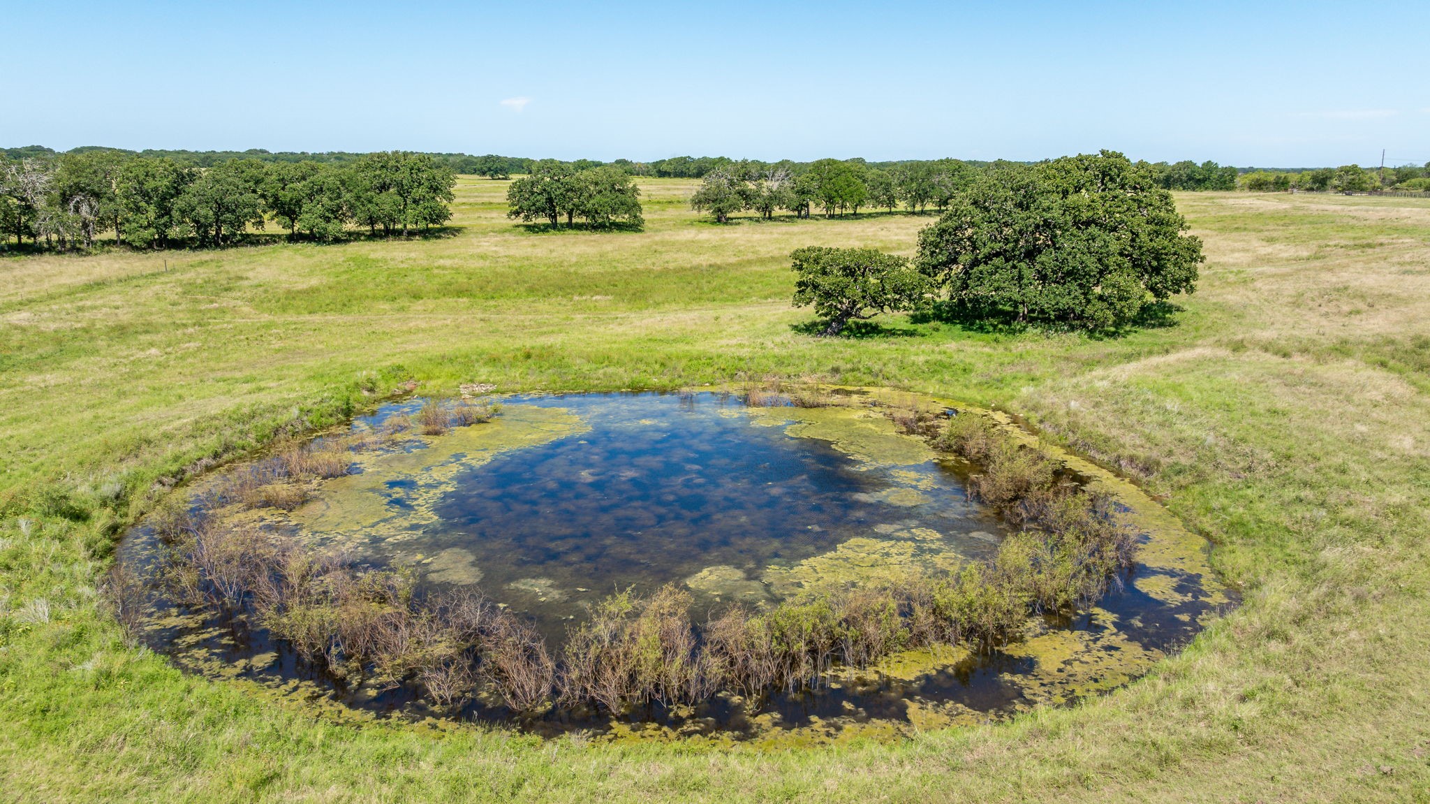 2440 County Road 243