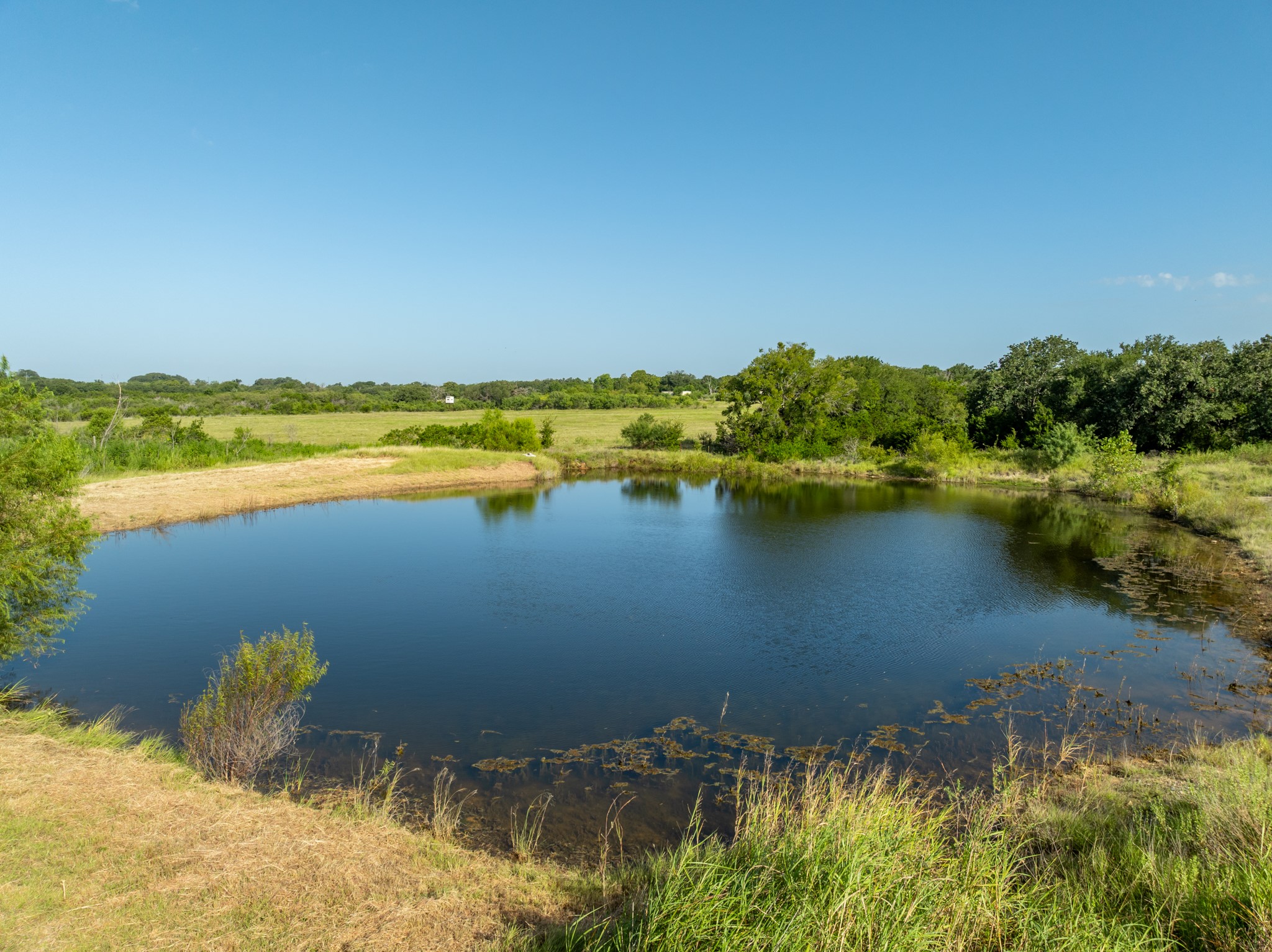 TBD Highway 281