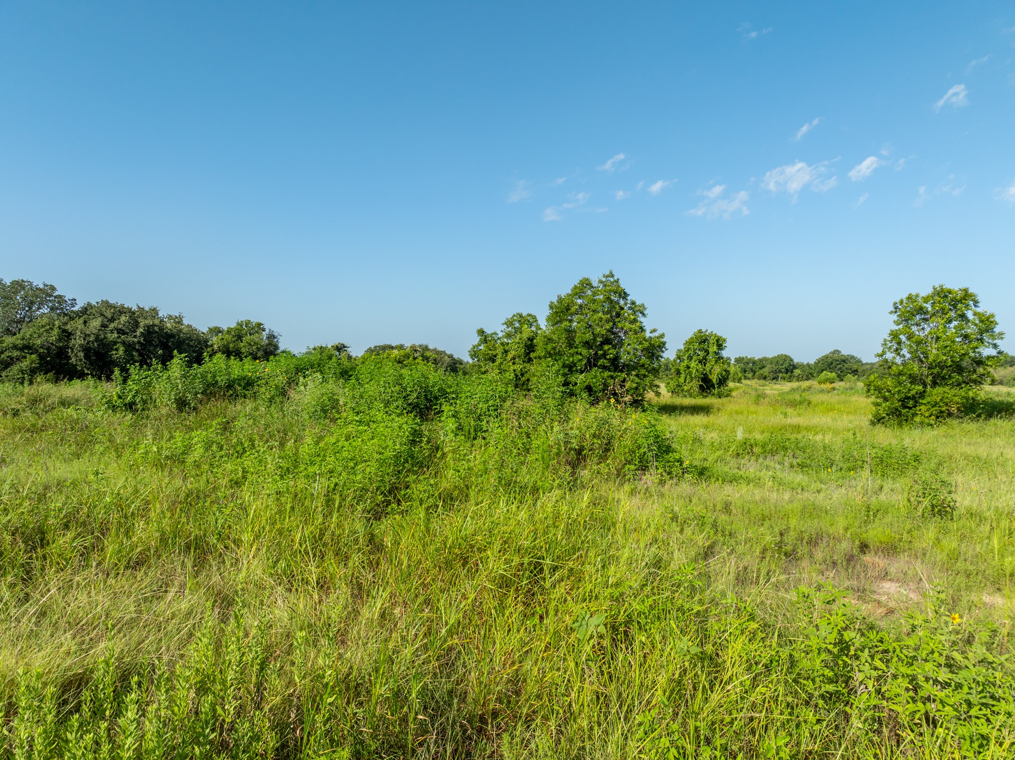 TBD Highway 281