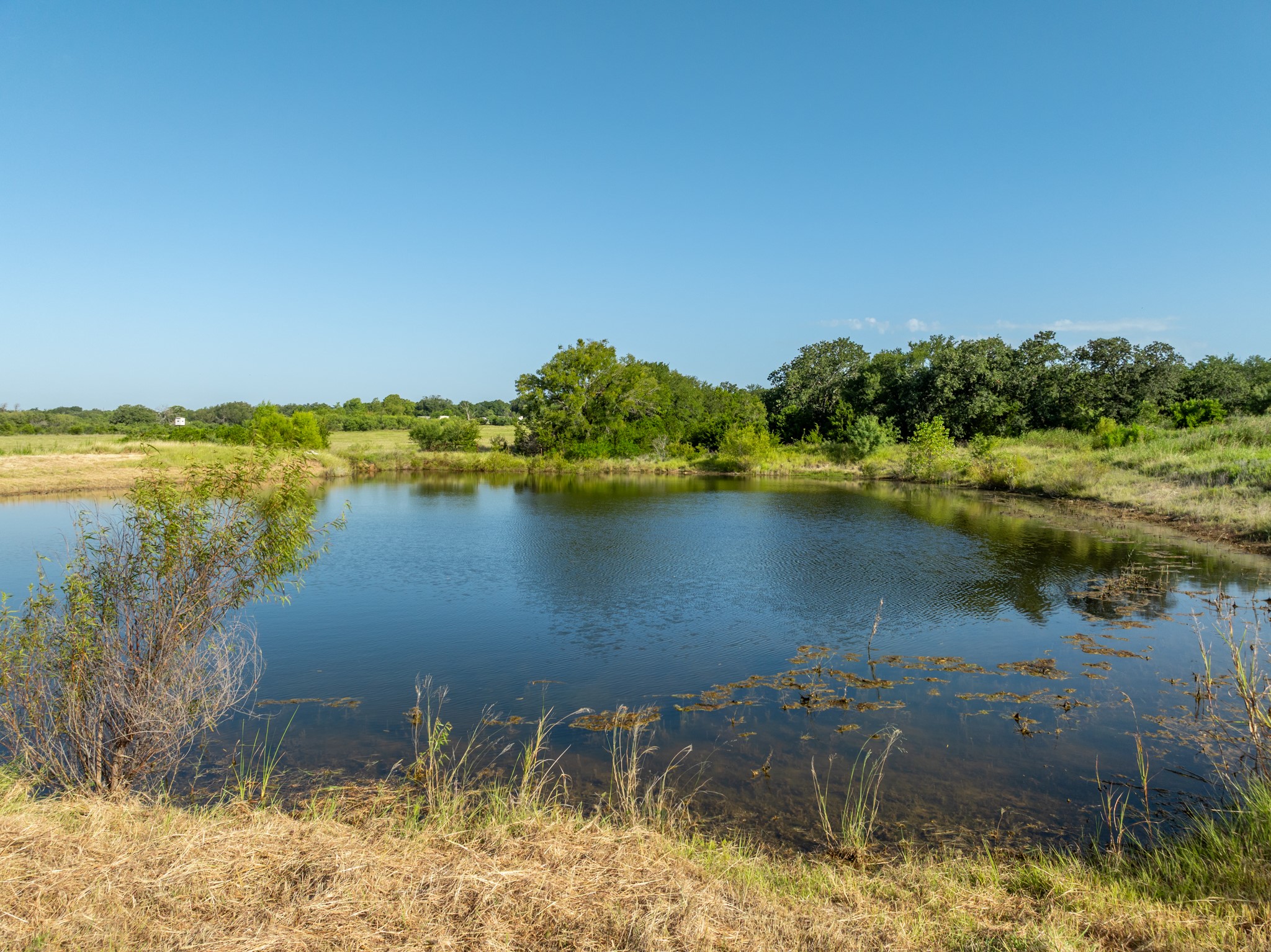 TBD Highway 281
