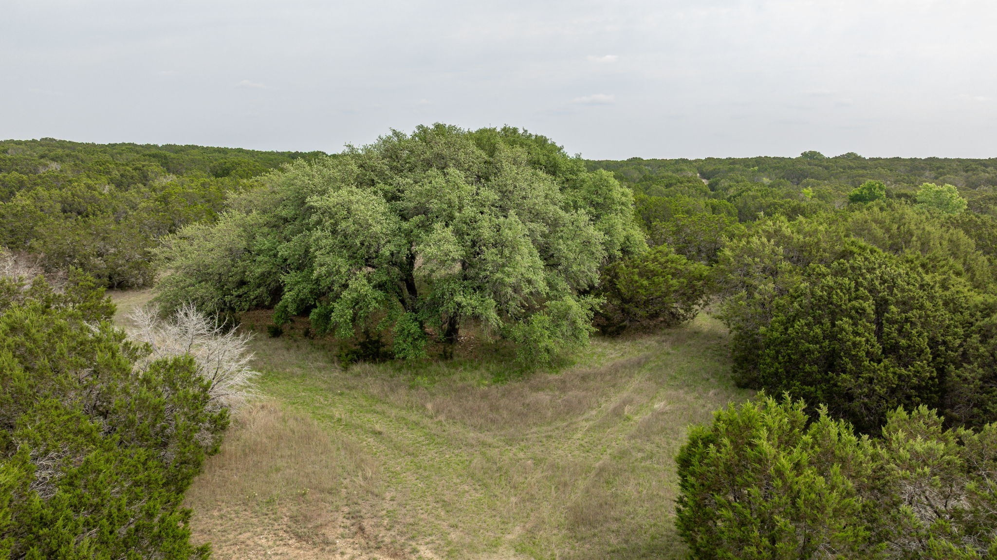 5905 N US Highway 281 (400)