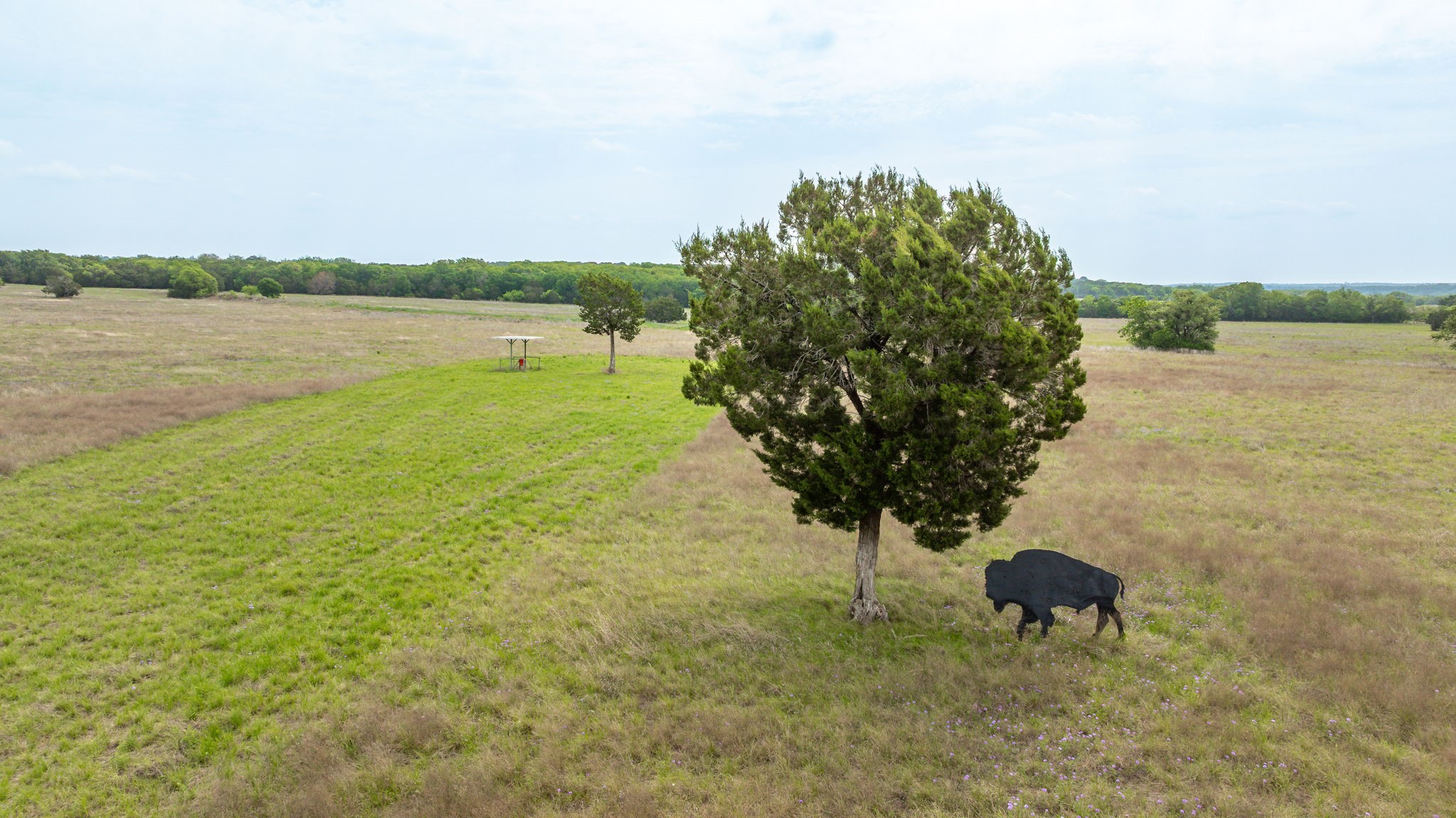 TBD Hwy 281 N East Side