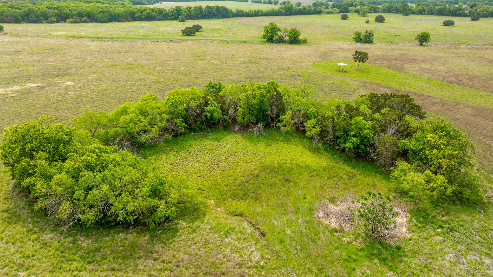 TBD Hwy 281 N East Side