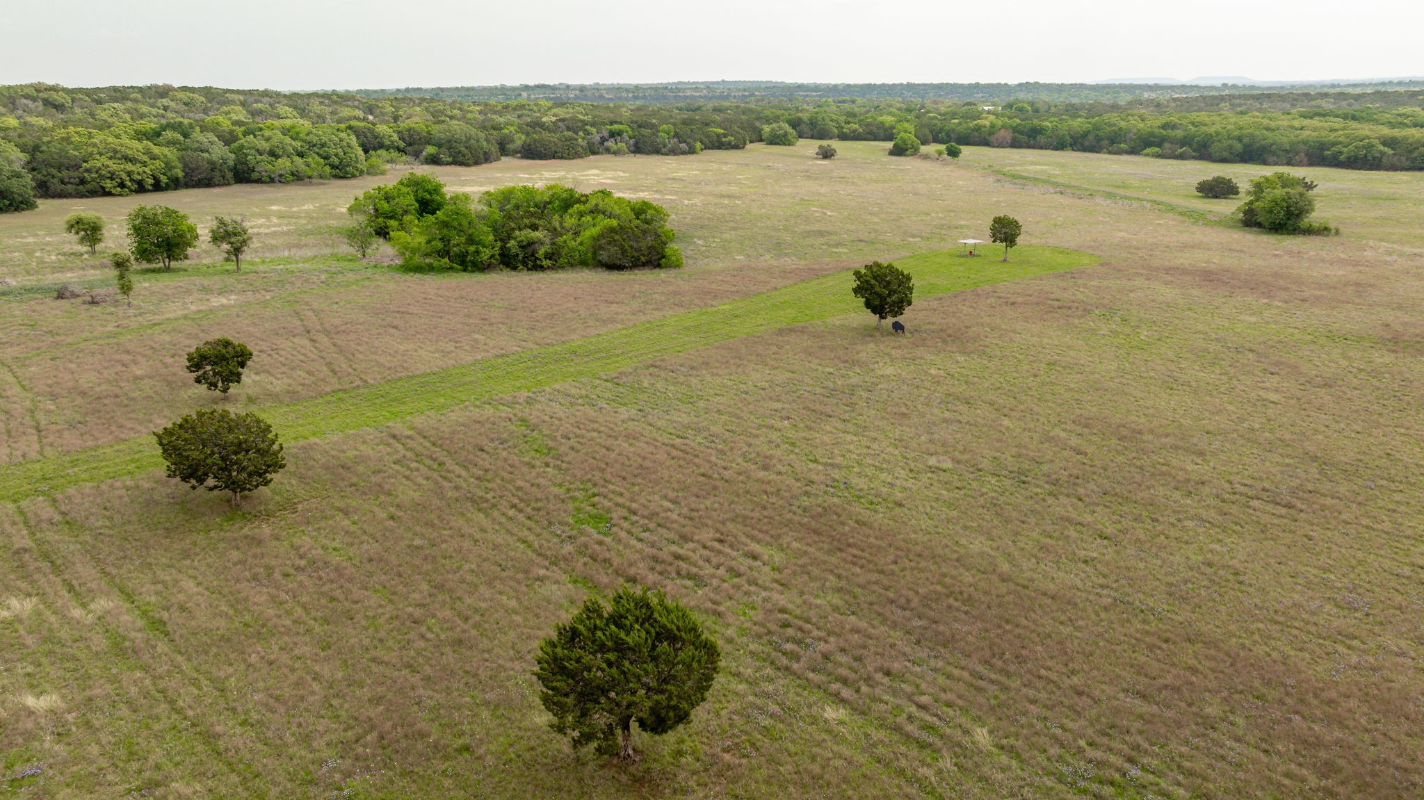 TBD Hwy 281 N East Side