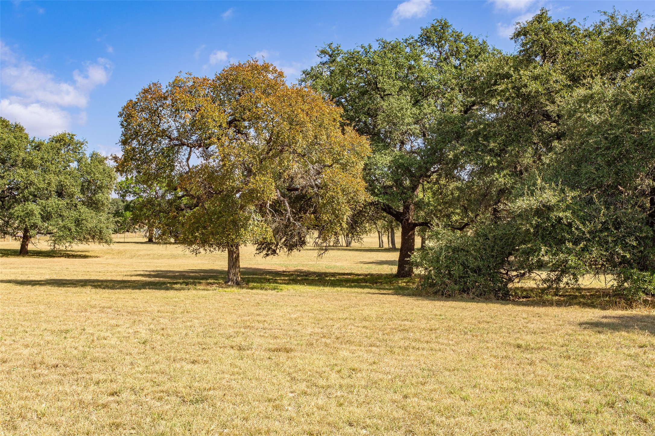 1616 County Road 3240