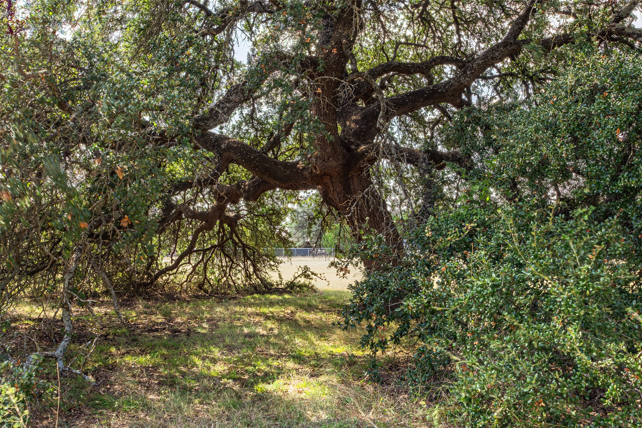 1616 County Road 3240