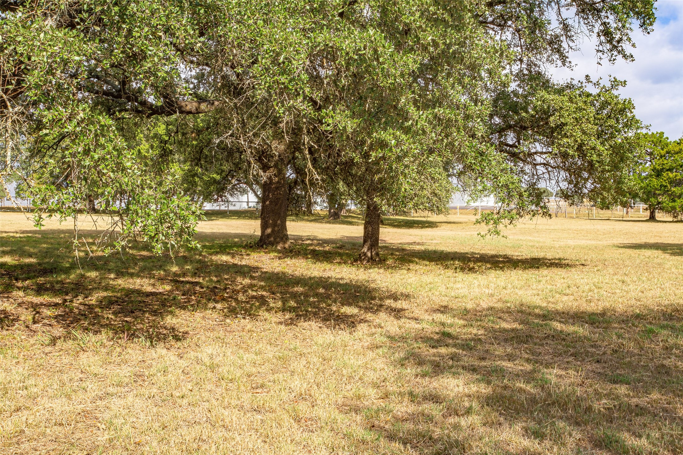 1616 County Road 3240