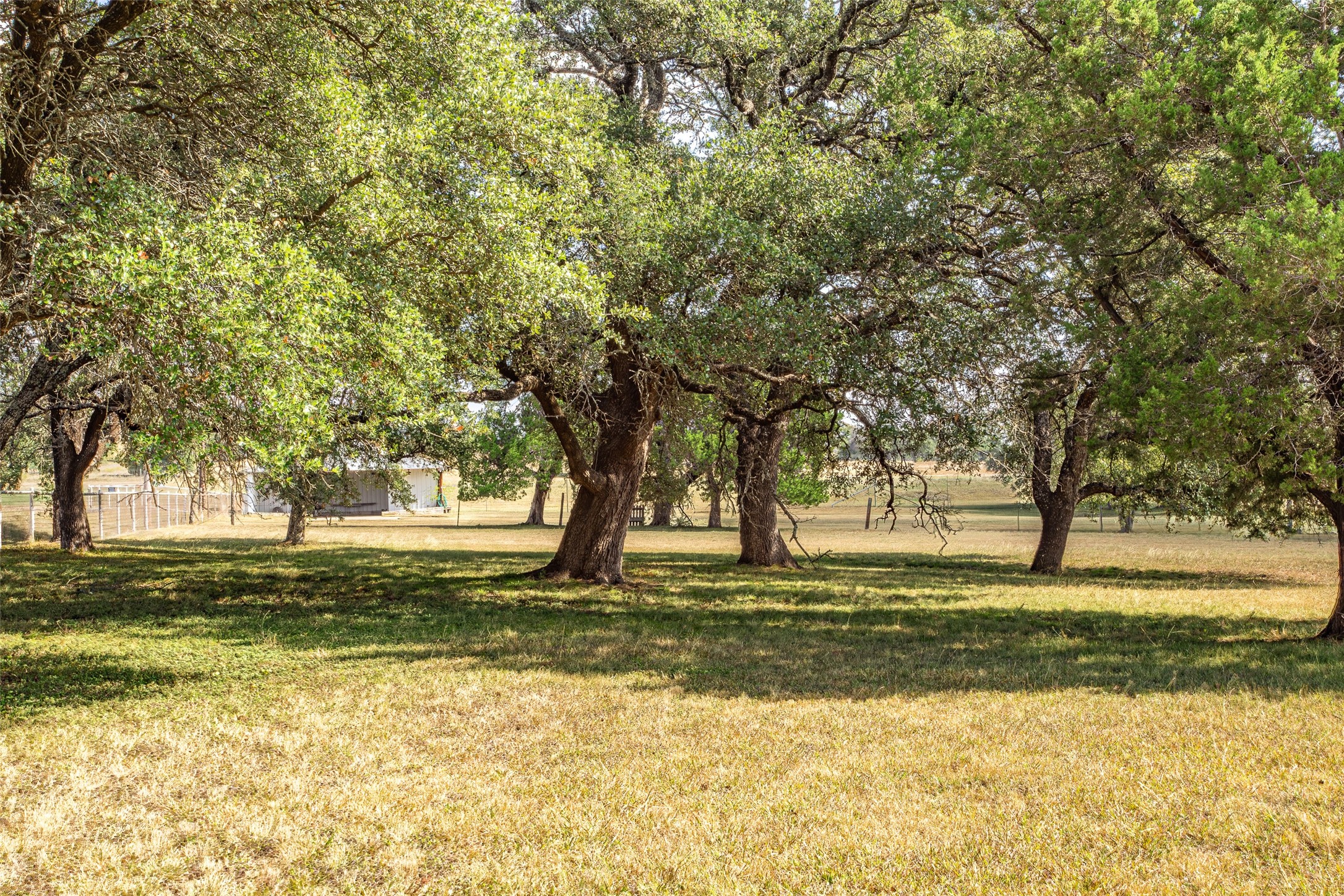 1616 County Road 3240