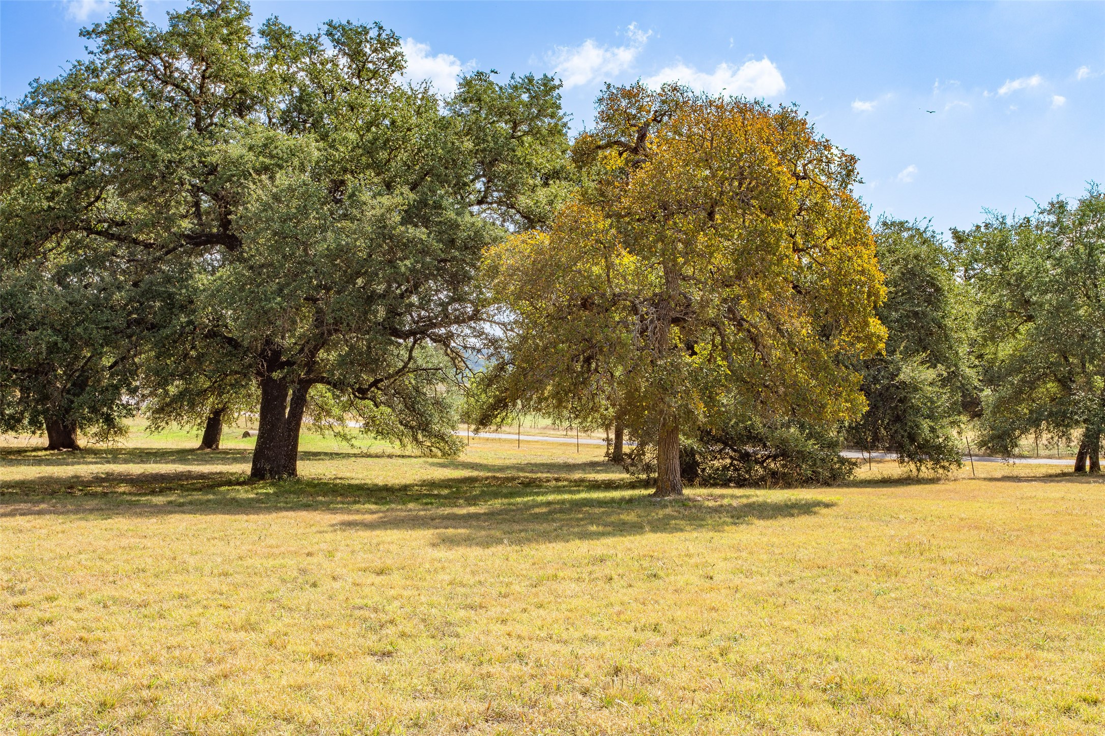 1616 County Road 3240