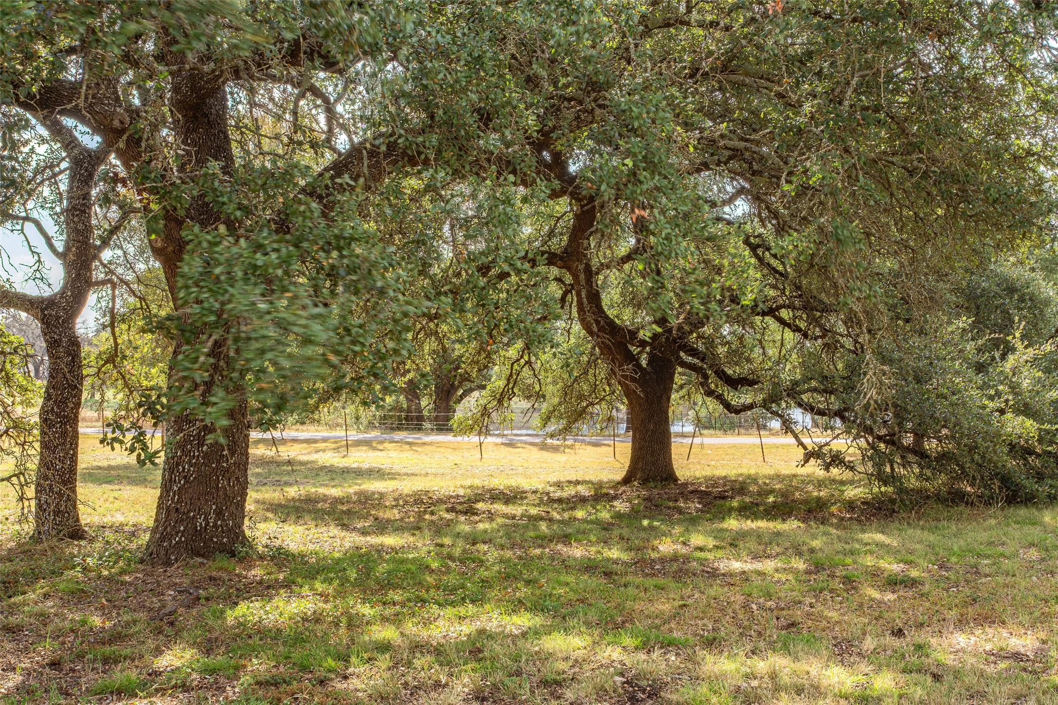 1616 County Road 3240