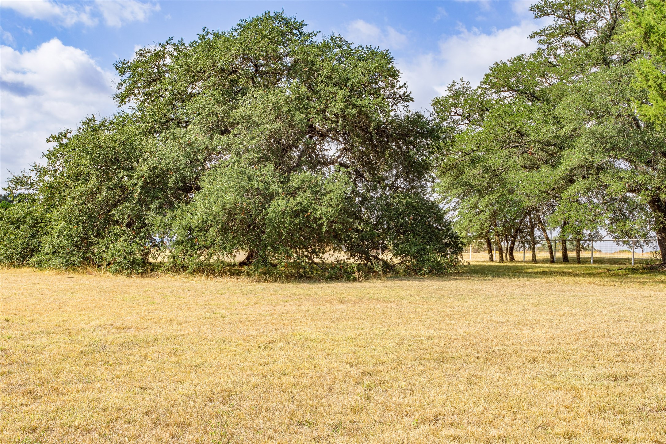 1616 County Road 3240