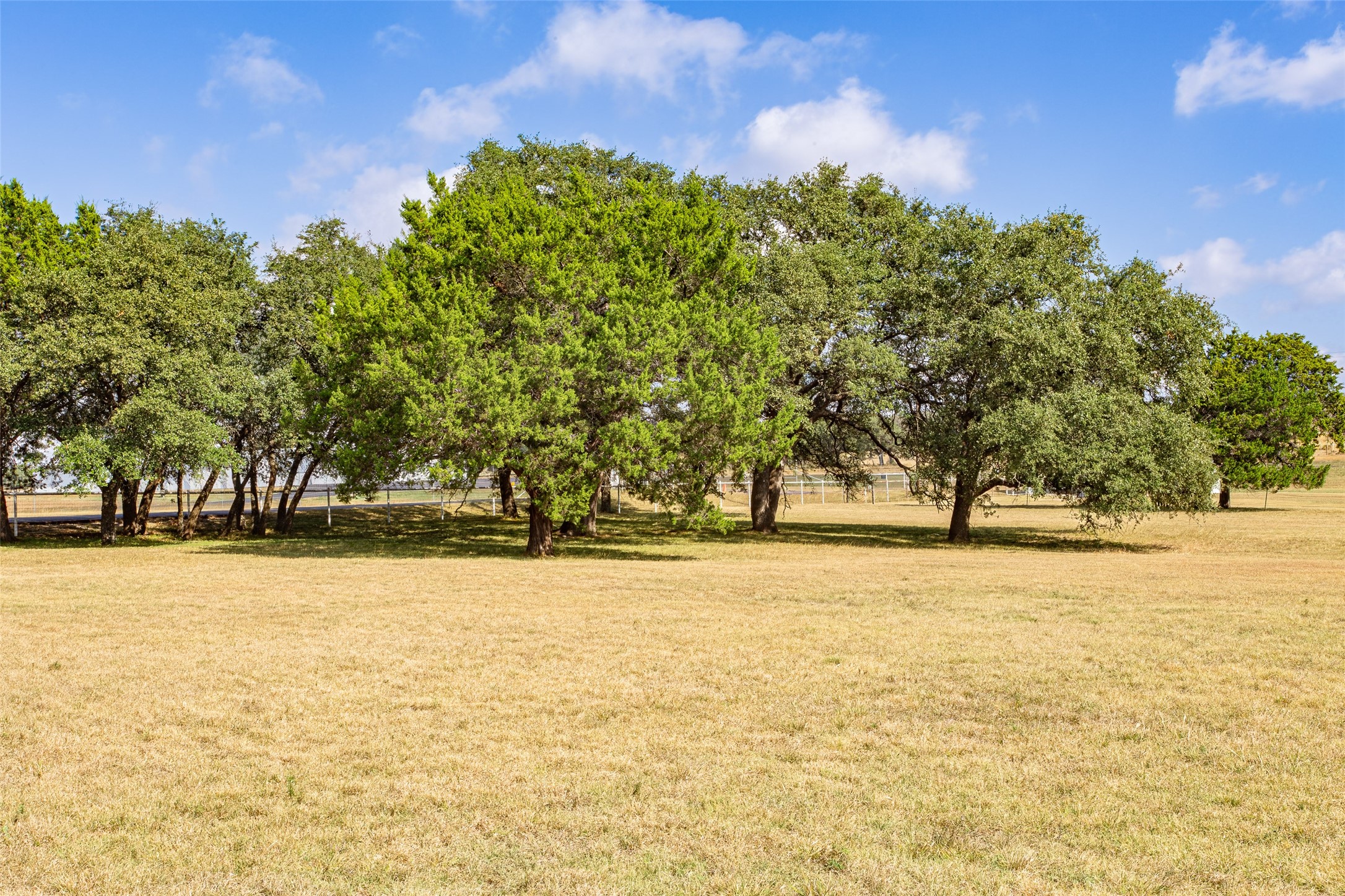 1616 County Road 3240